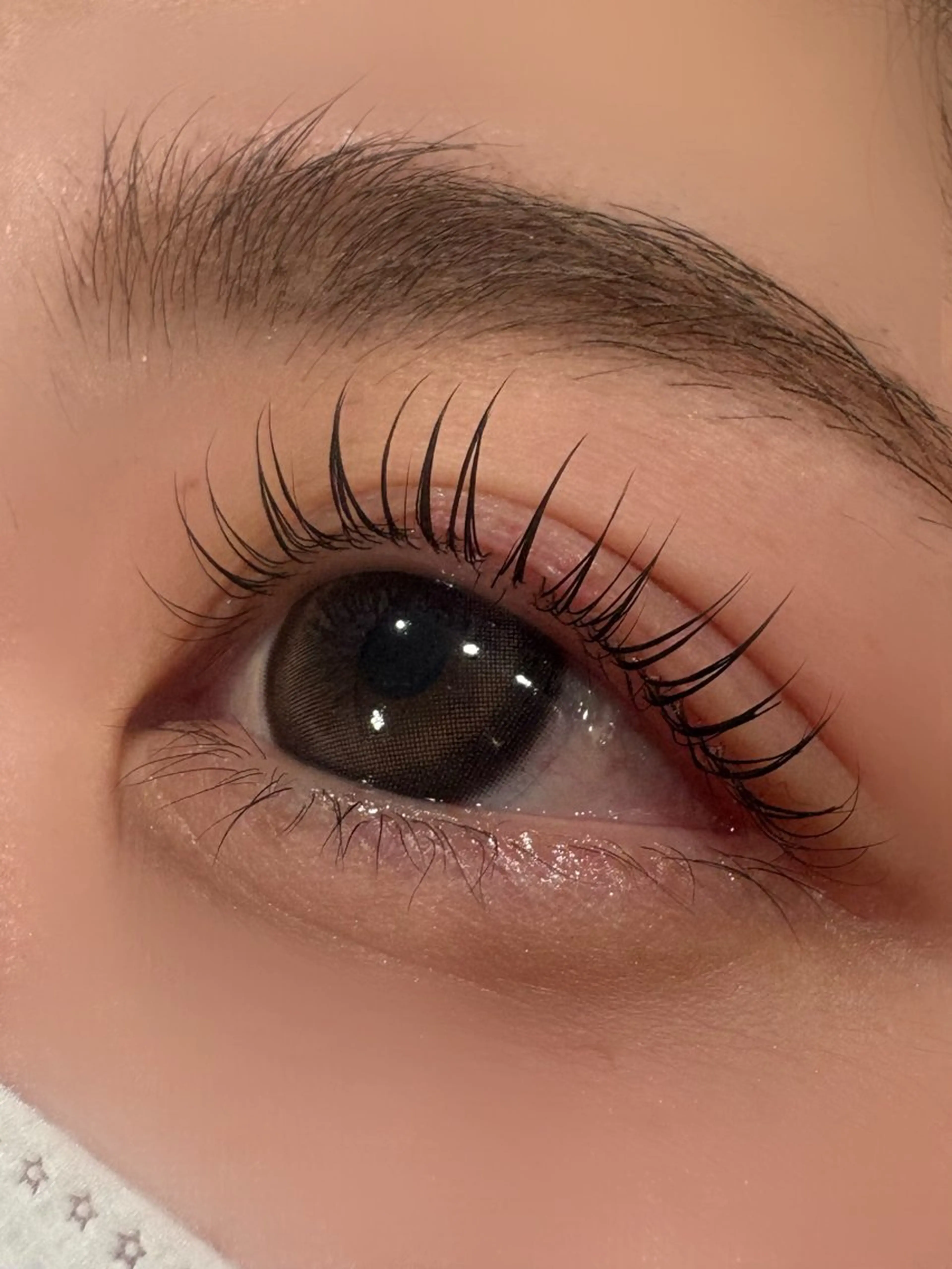 マツエク・マツパ マツパ vim lash立川 CHIIKO🎀の眉毛・アイブロウイメージ