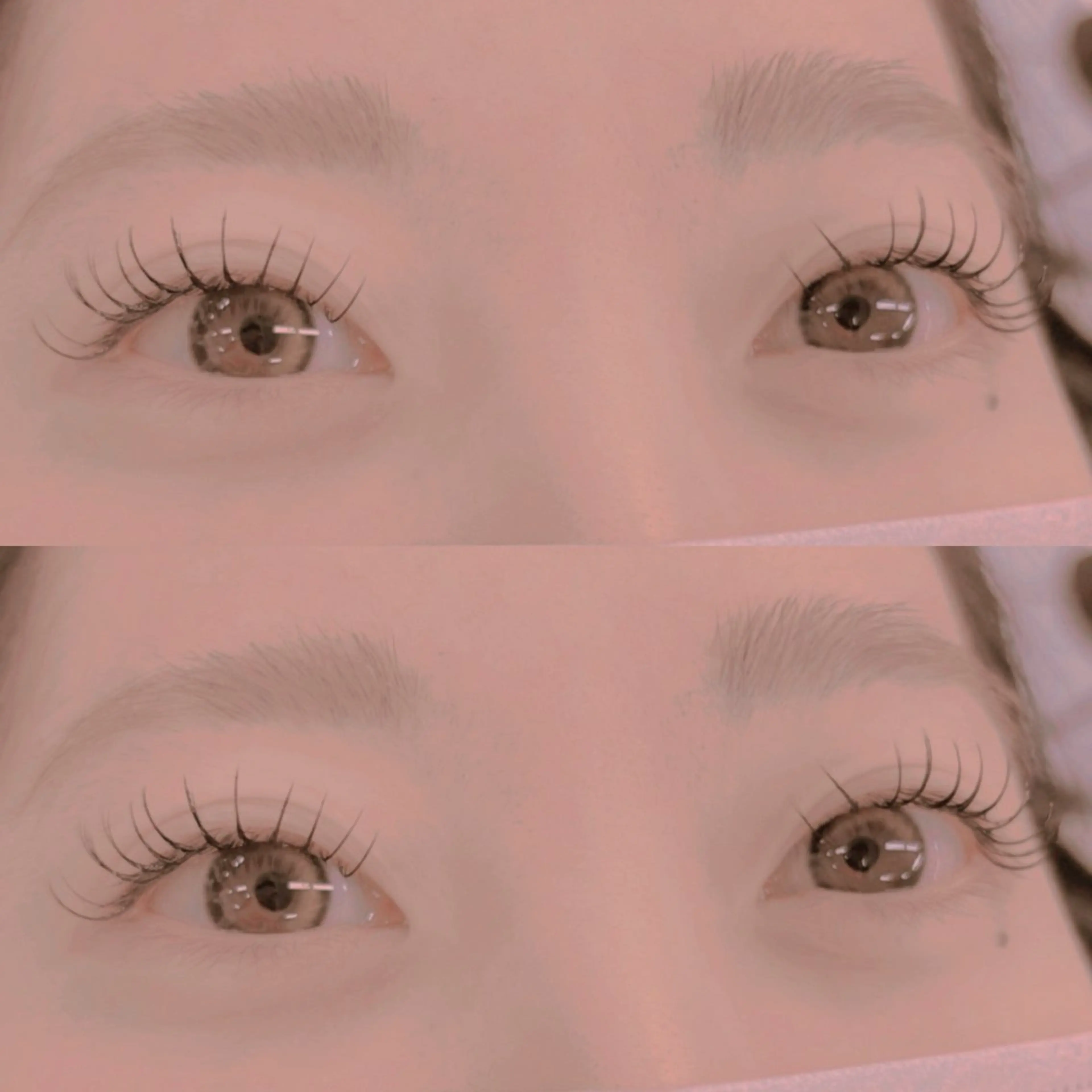 マツエク・マツパ Dカール セーブル M A  I  🌺のマツエク・マツパデザイン