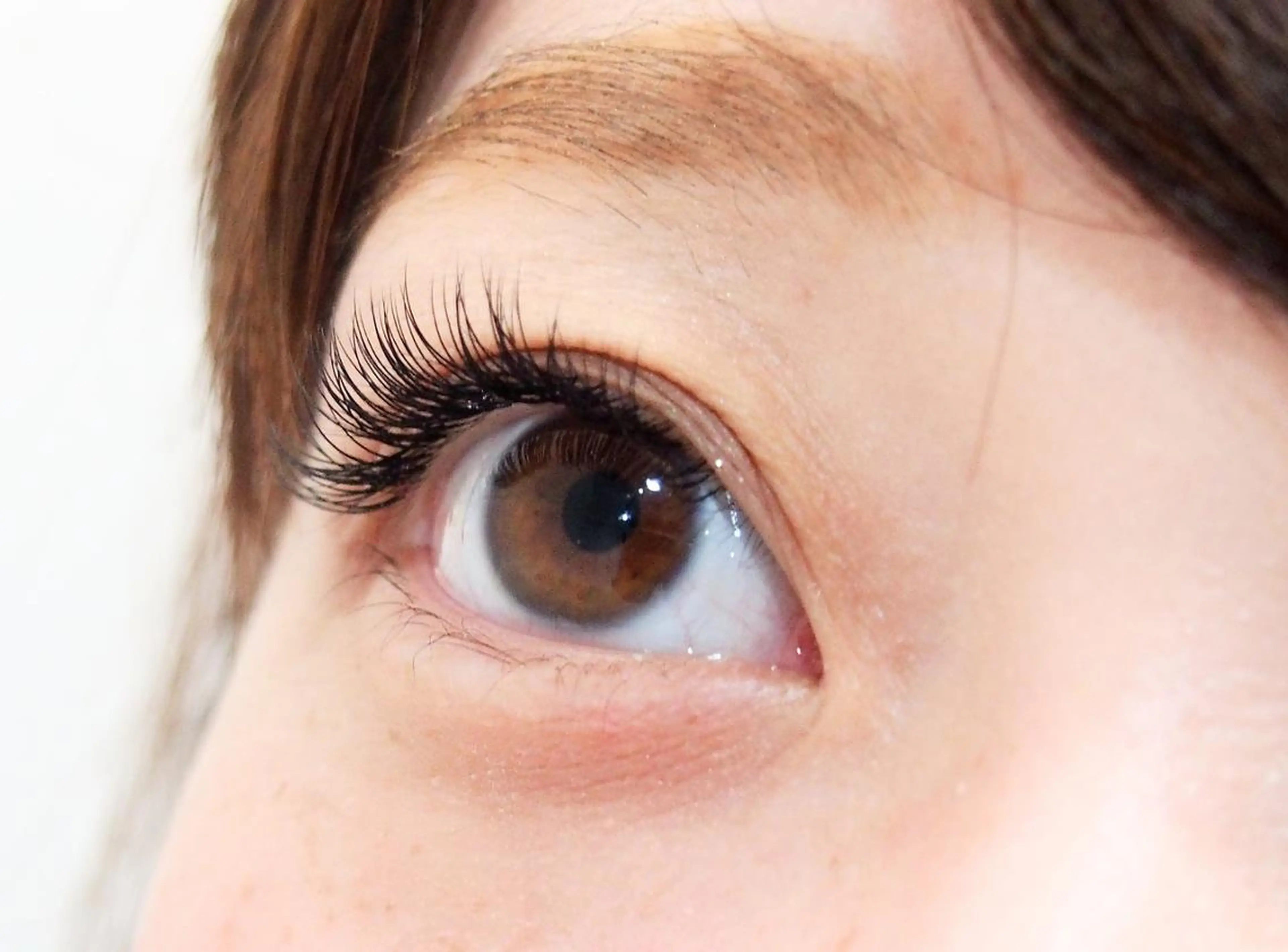 マツエク・マツパ S Sの眉毛・アイブロウイメージ