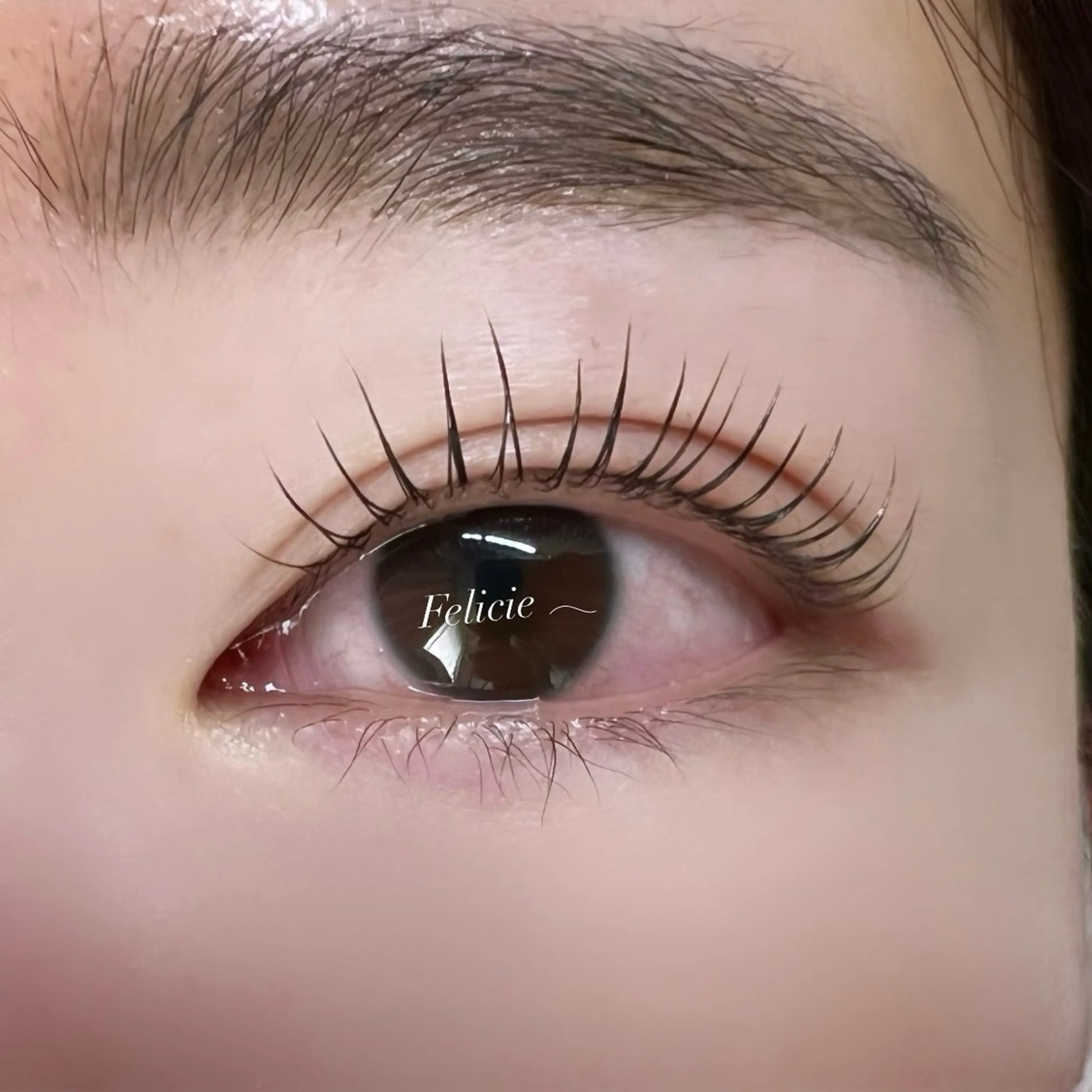 マツエク・マツパ パリジェンヌラッシュリフト マツパ Felicie＊ Sayakaのマツエク・マツパデザイン