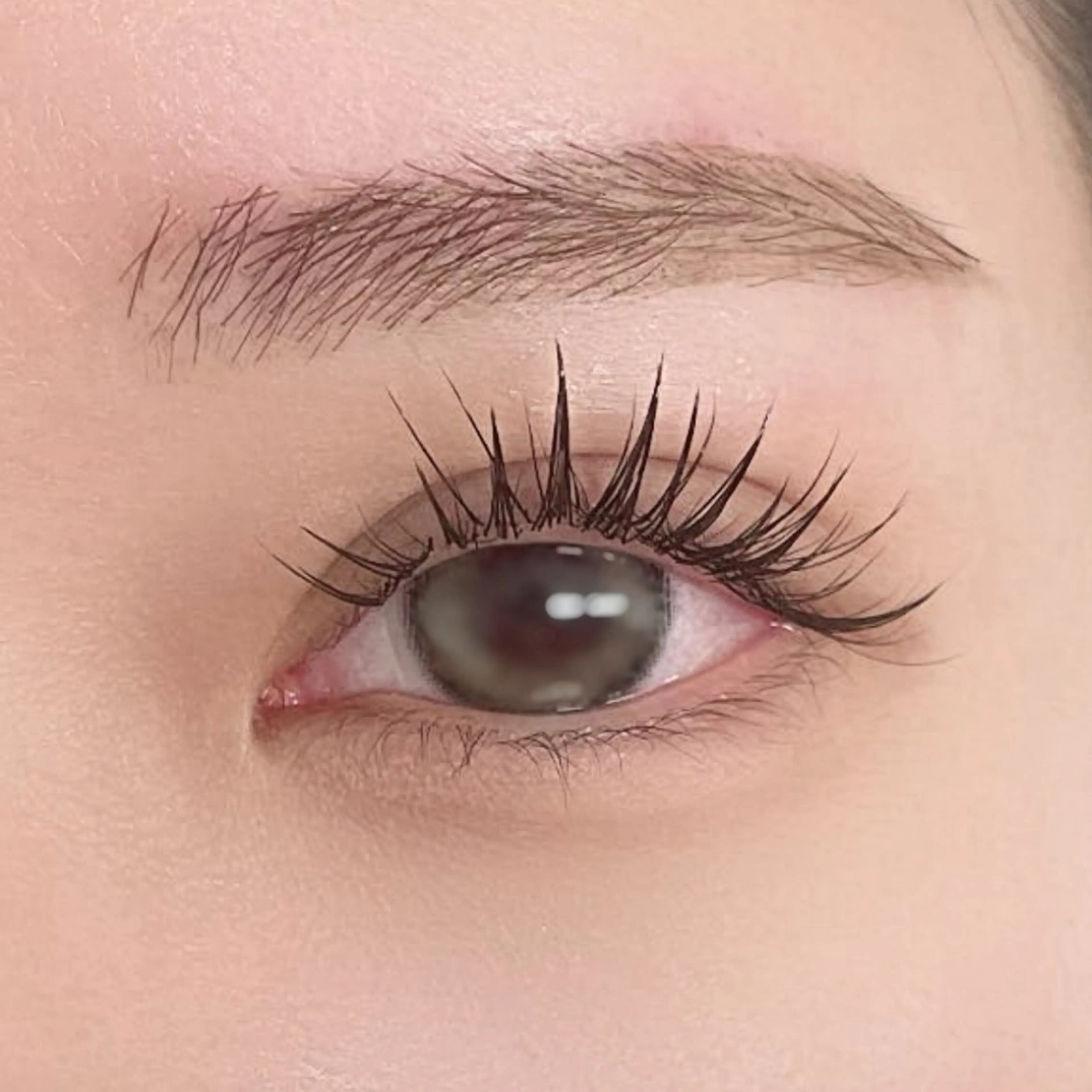 マツエク・マツパ マツエク mihiro 🐈‍⬛の眉毛・アイブロウイメージ