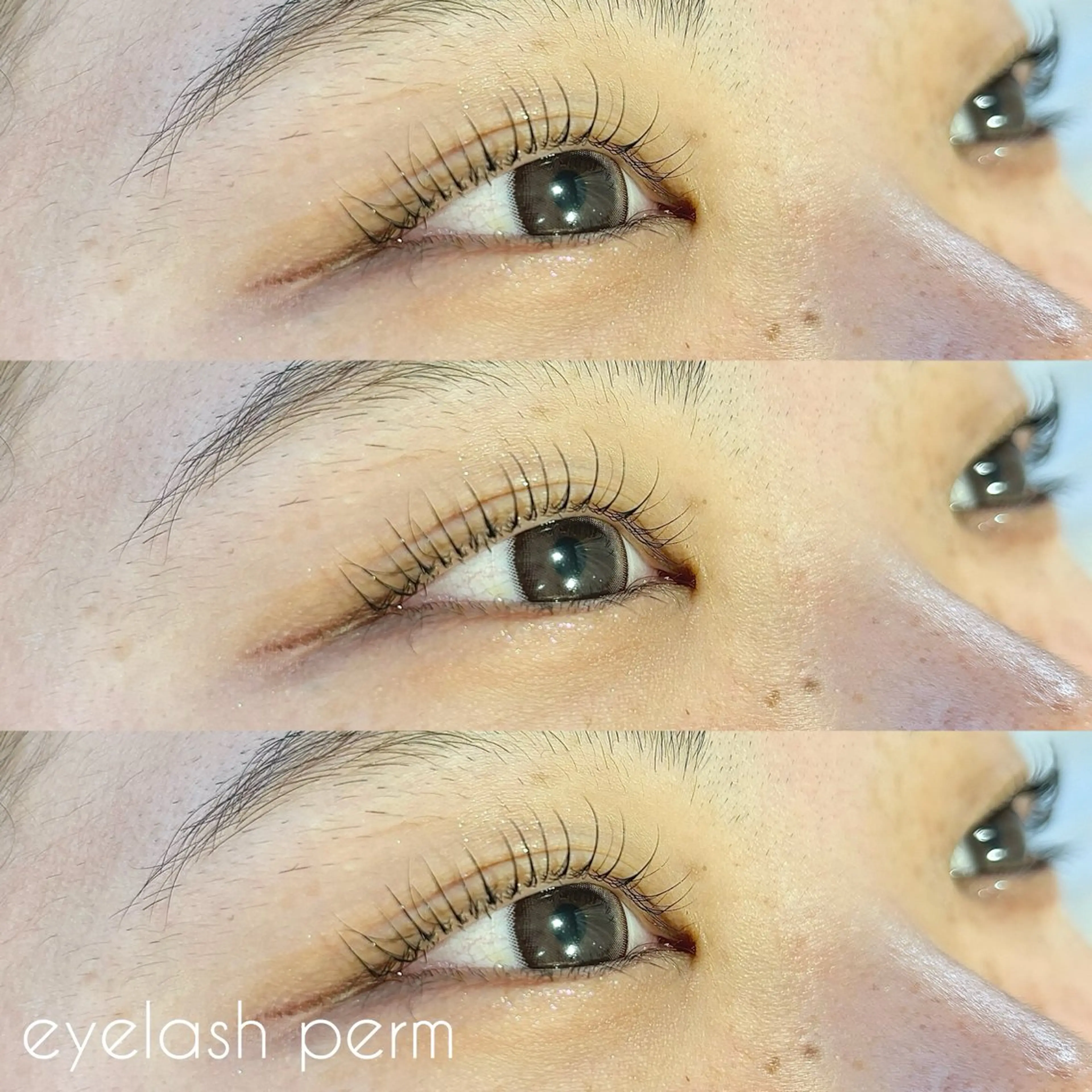 マツエク・マツパ パリジェンヌラッシュリフト ✧elpatio✧︎ 小出紗羅のマツエク・マツパデザイン