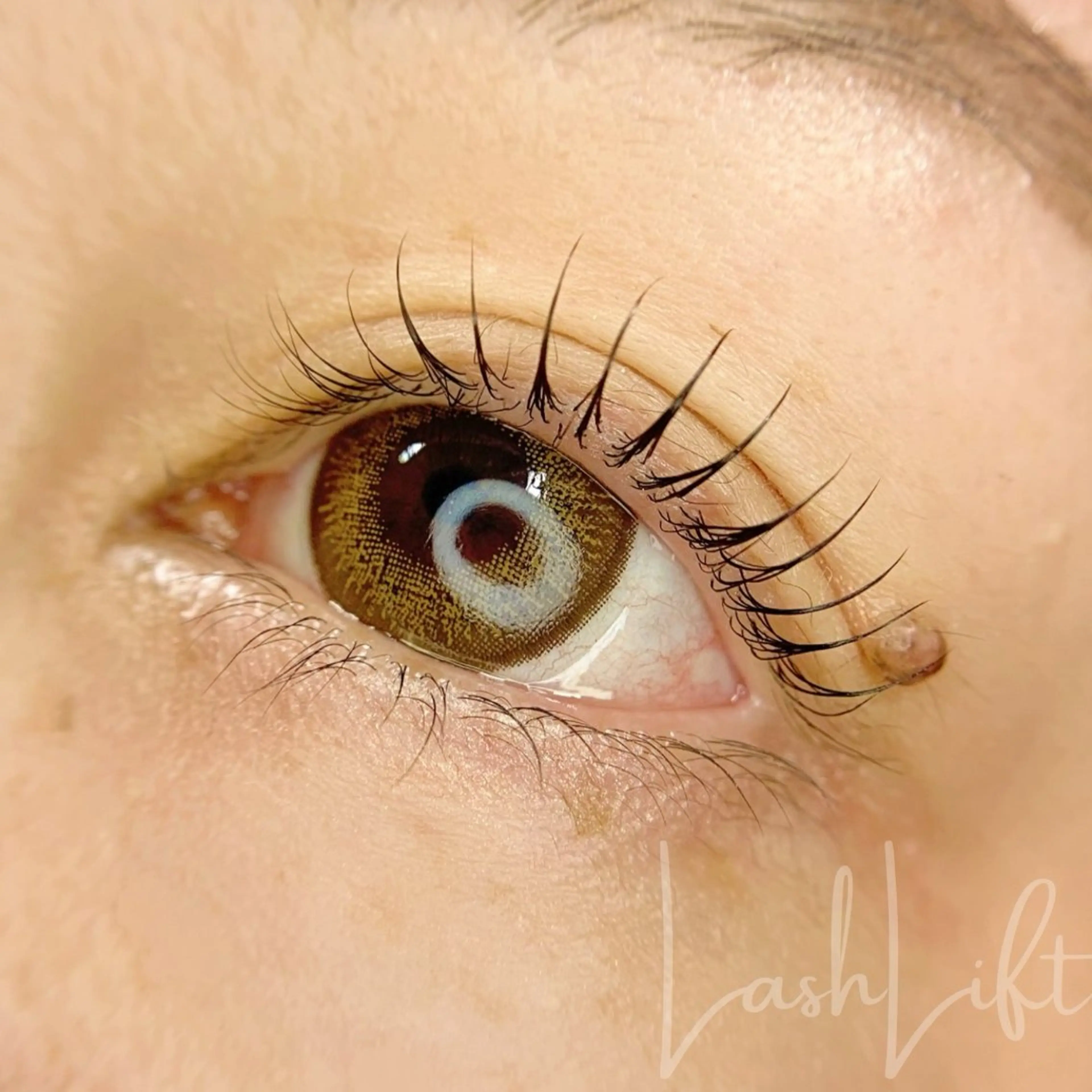 マツエク・マツパ GOTODAYシェアサロン Riora店【Raymy-eyelash.eyebrow】所属・Aya 明治神宮前/表参道のマツエク・マツパデザイン