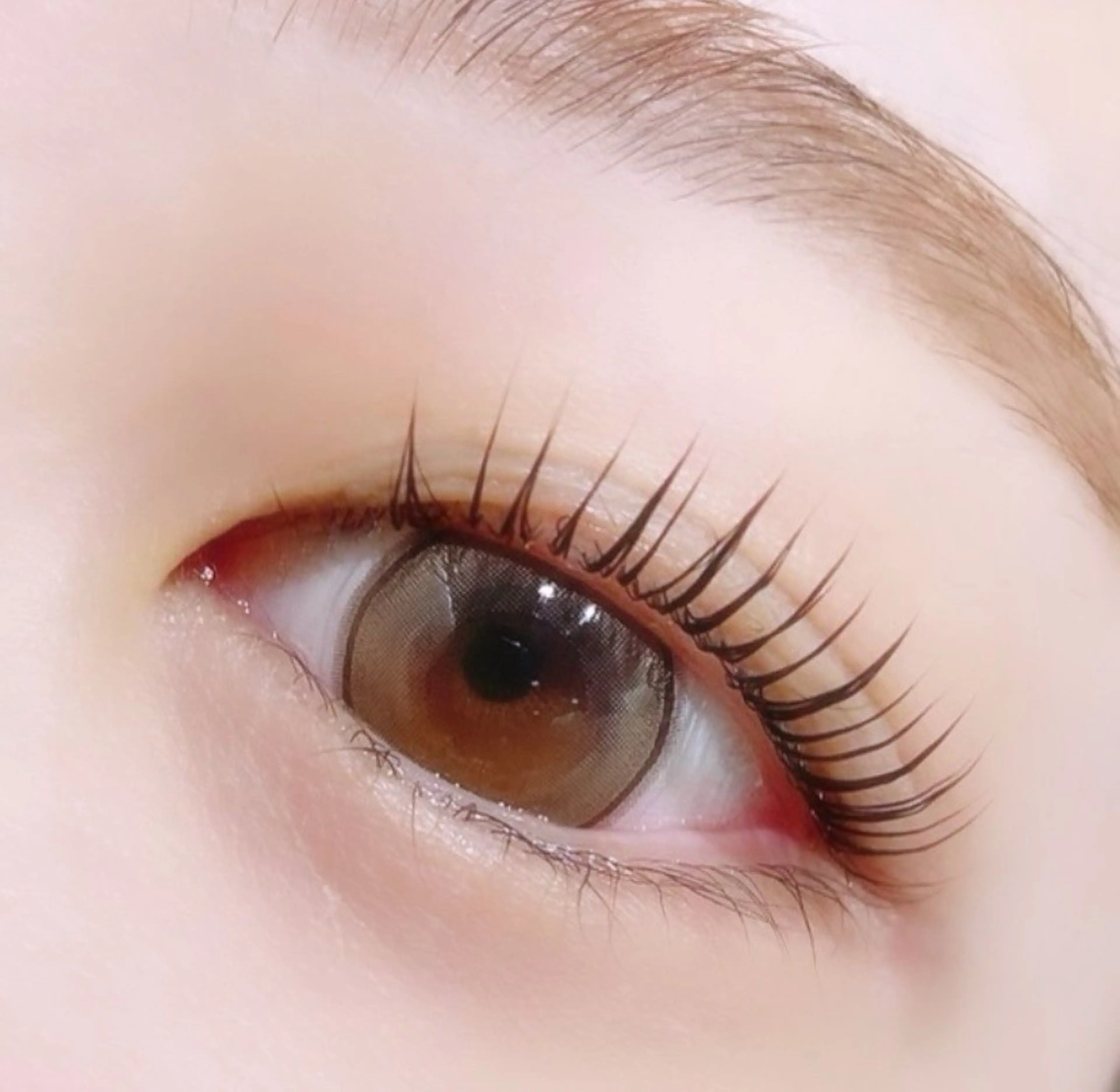 ミニモ学割👩‍🎓デザインラッシュリフト(まつげパーマ)🩵🩷の写真