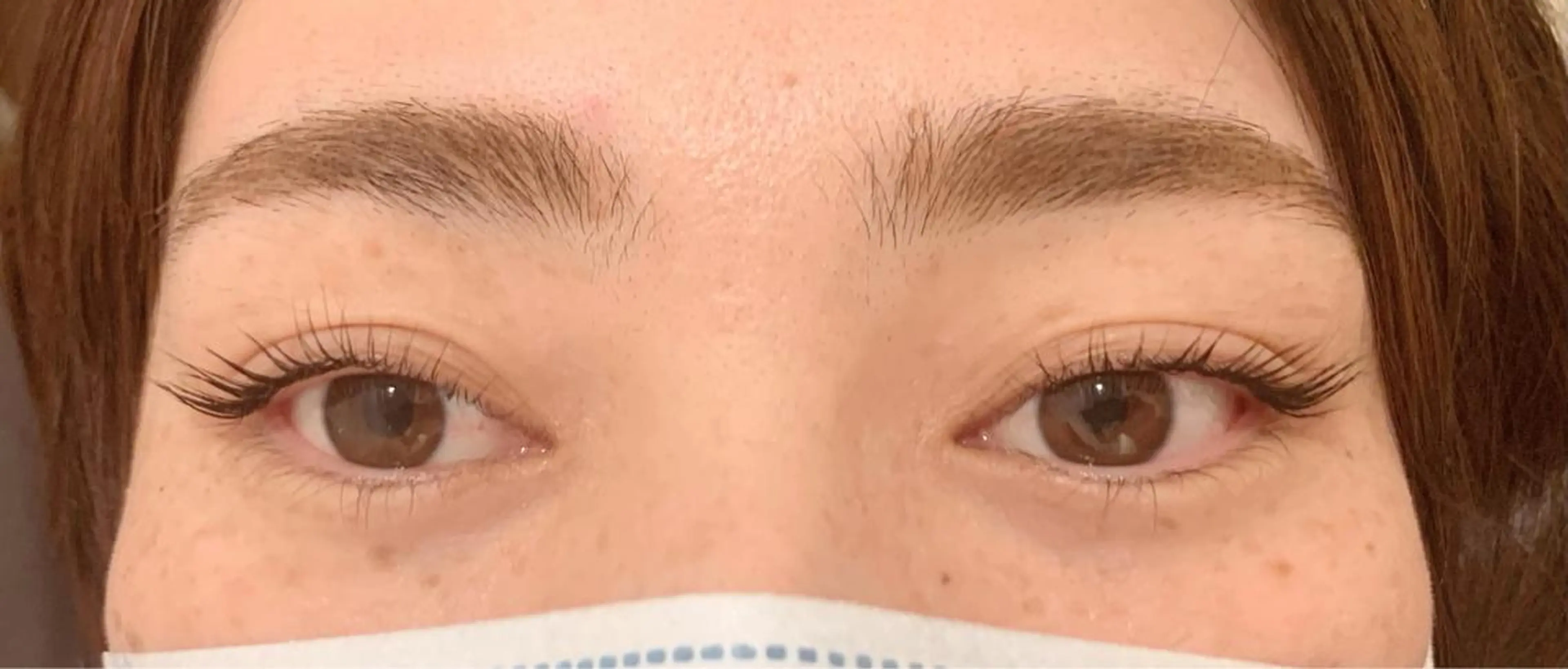 マツエク・マツパ パリジェンヌラッシュリフト elua eyelashの眉毛・アイブロウイメージ