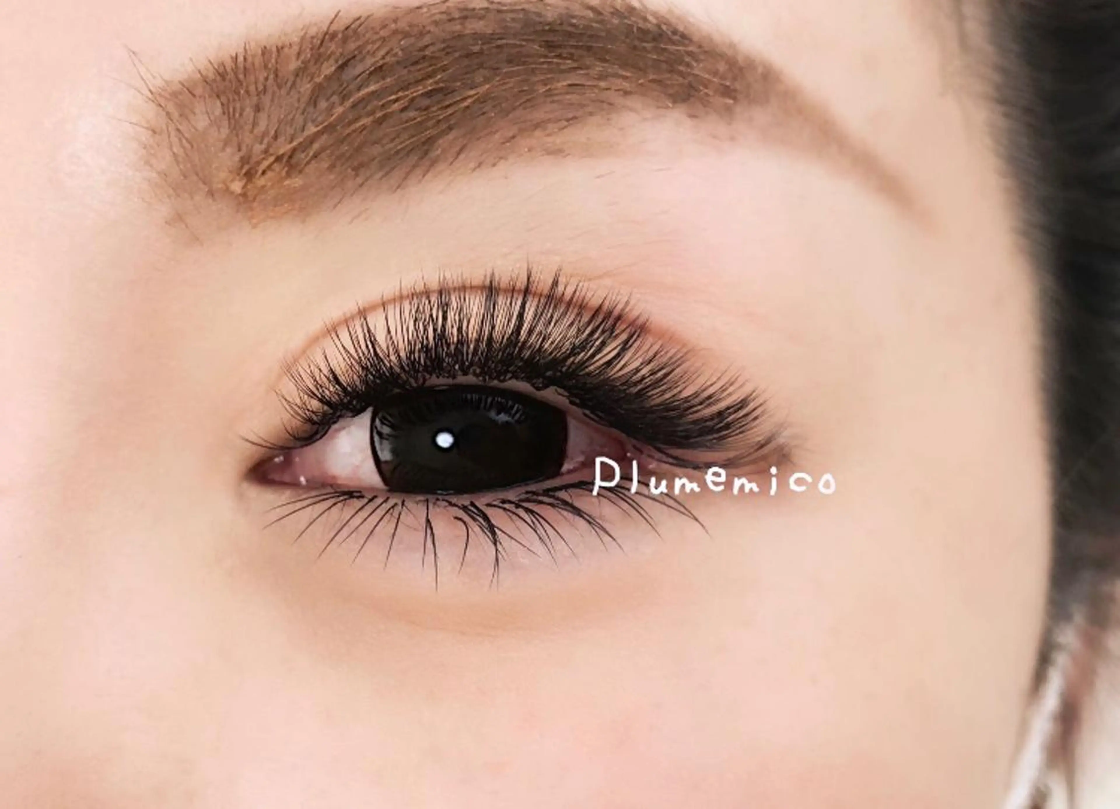 マツエク・マツパ マツエク Plume micoのマツエク・マツパデザイン