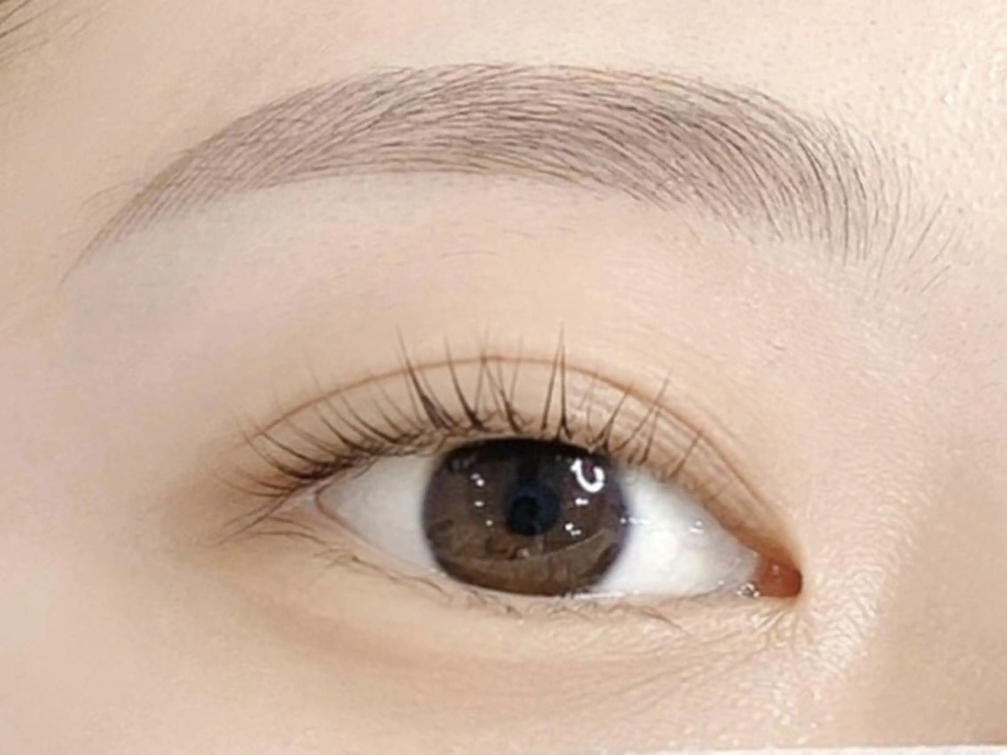 ご新規限定《黄金比(骨格診断)×似合わせ》美眉WAX[間引きあり]　¥5080の写真