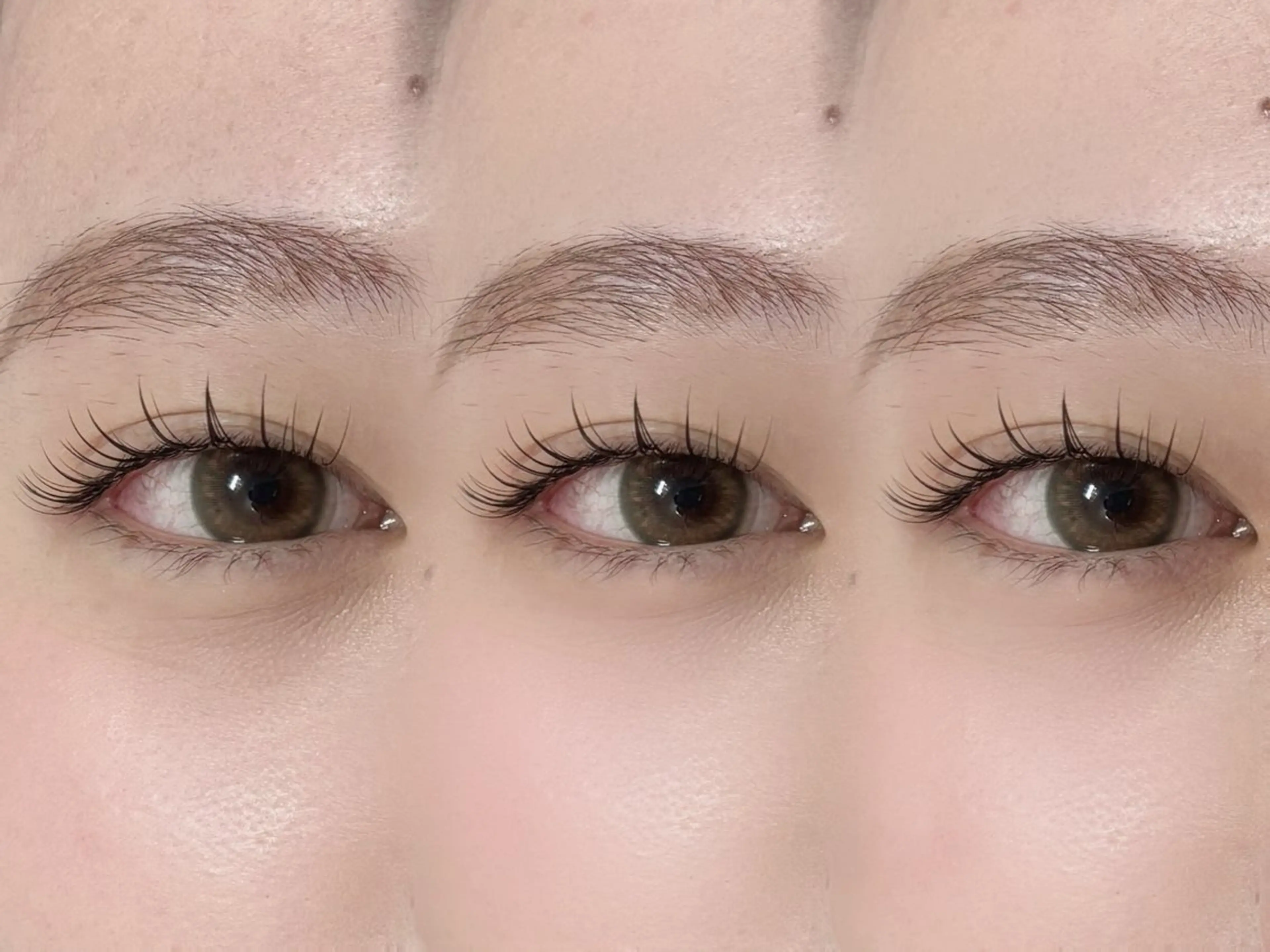 マツエク・マツパ シノ🌿 / Dealo京橋店の眉毛・アイブロウイメージ