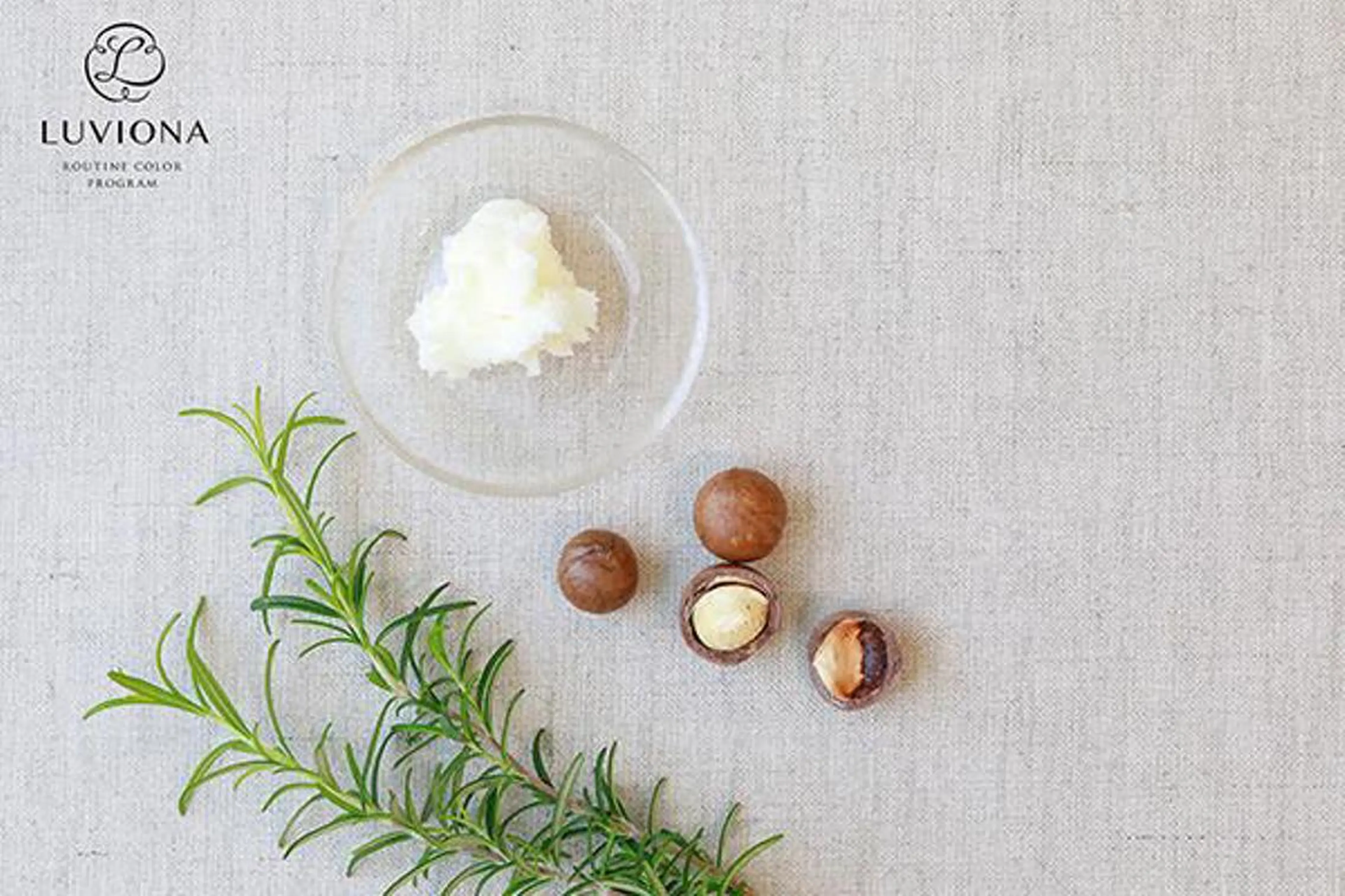 カラー オーガニックカラー カット ヘアカラー 高橋 雅人のマツエク・マツパデザイン