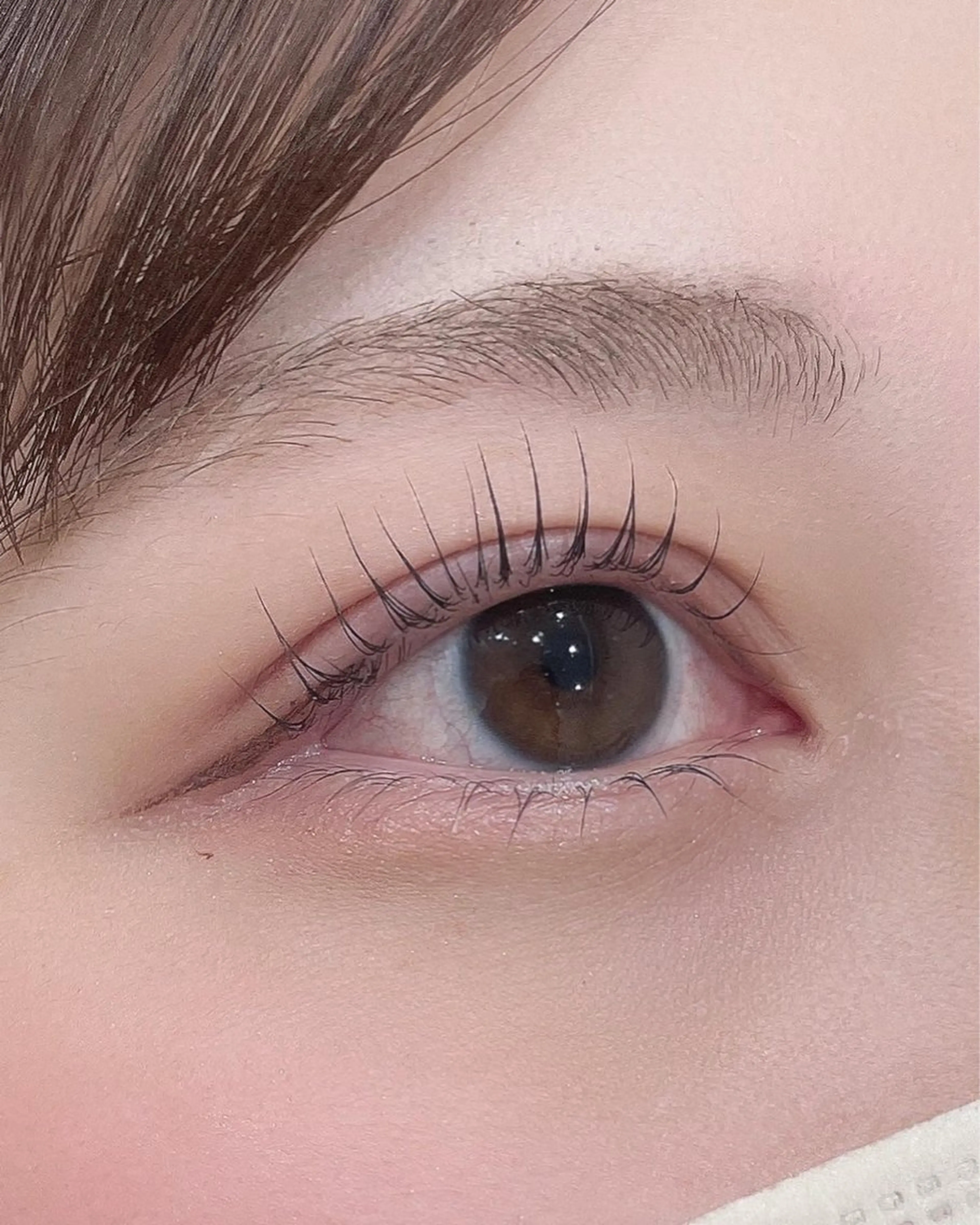マツエク・マツパ パリジェンヌラッシュリフト マツパ une FEMINの眉毛・アイブロウイメージ
