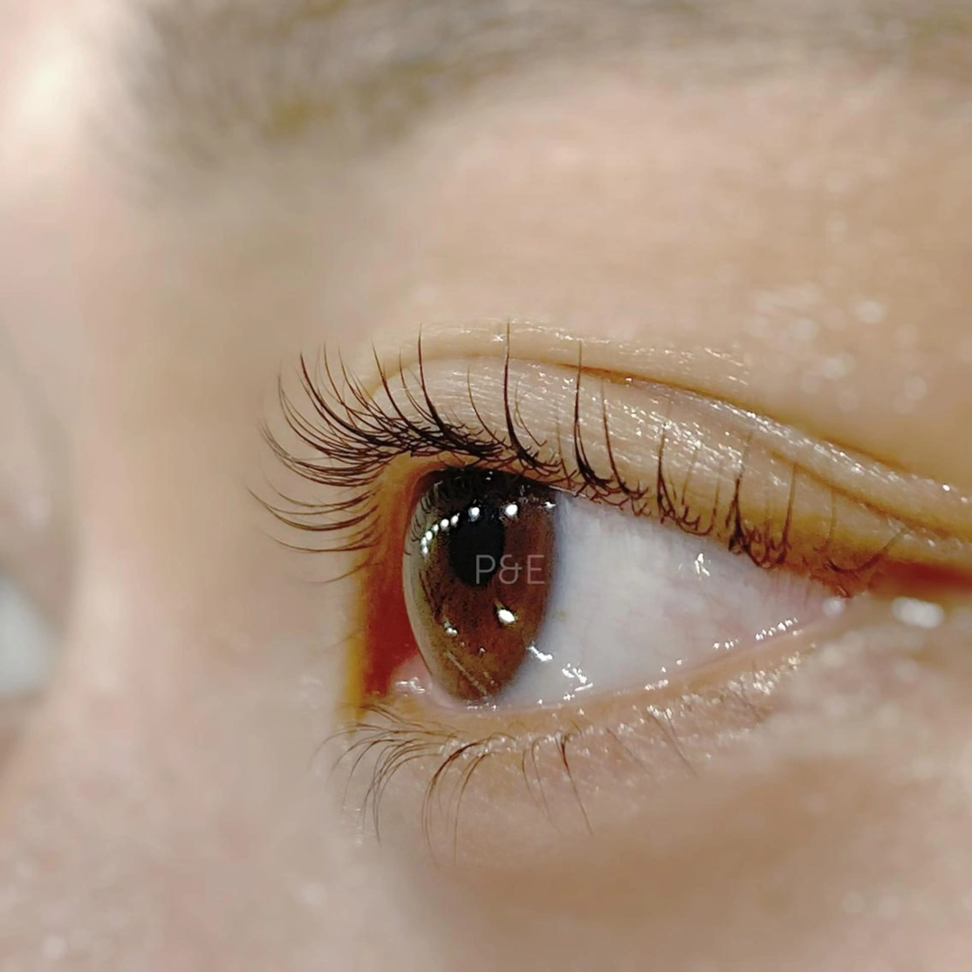 マツエク・マツパ 一重×まつ毛パーマ P&Eまつげ専門 ★駅前店のマツエク・マツパデザイン