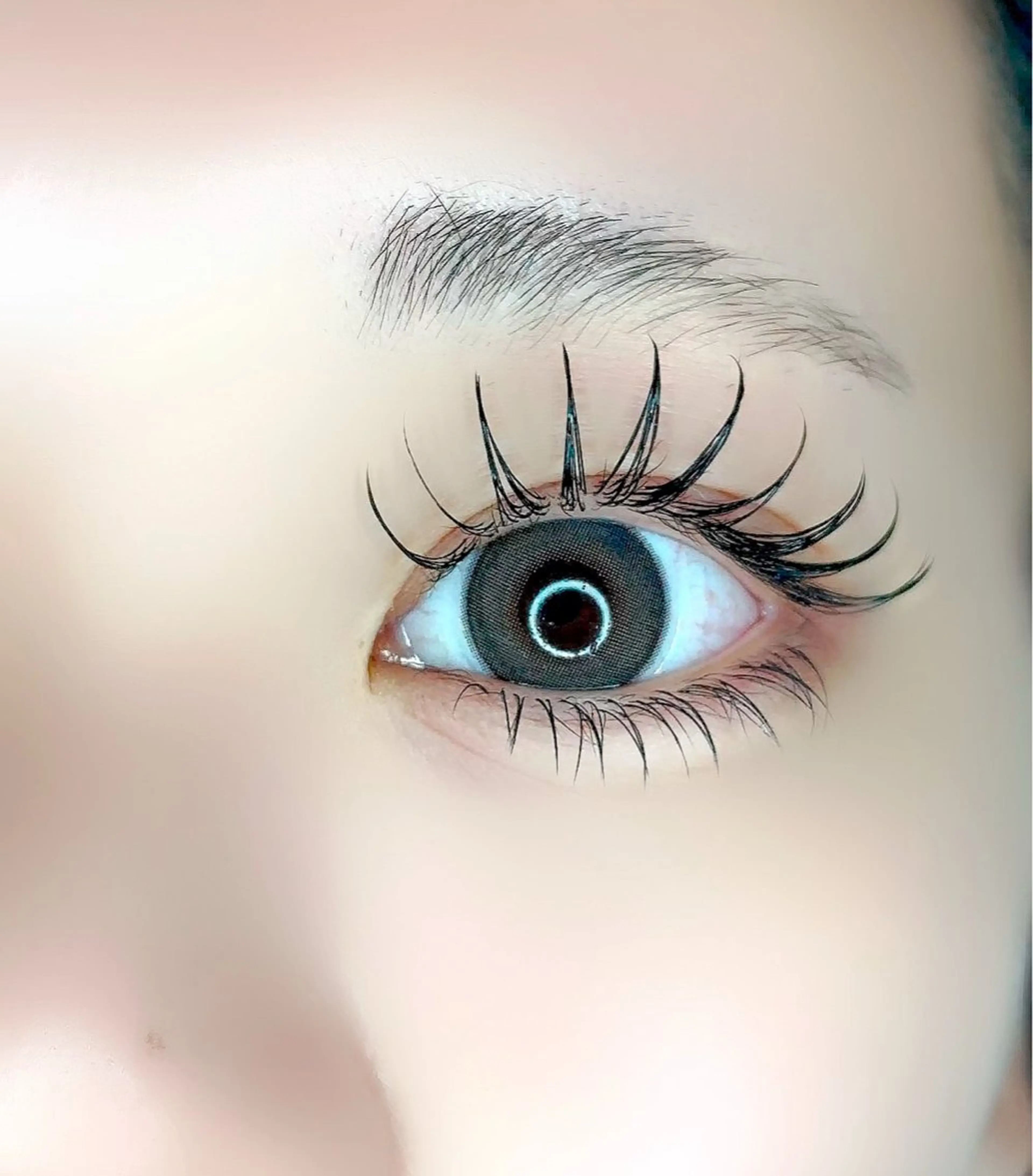 マツエク・マツパ 付け放題 フラットラッシュ パリジェンヌラッシュリフト アップワードラッシュ マツエク Judy by charmeのマツエク・マツパデザイン