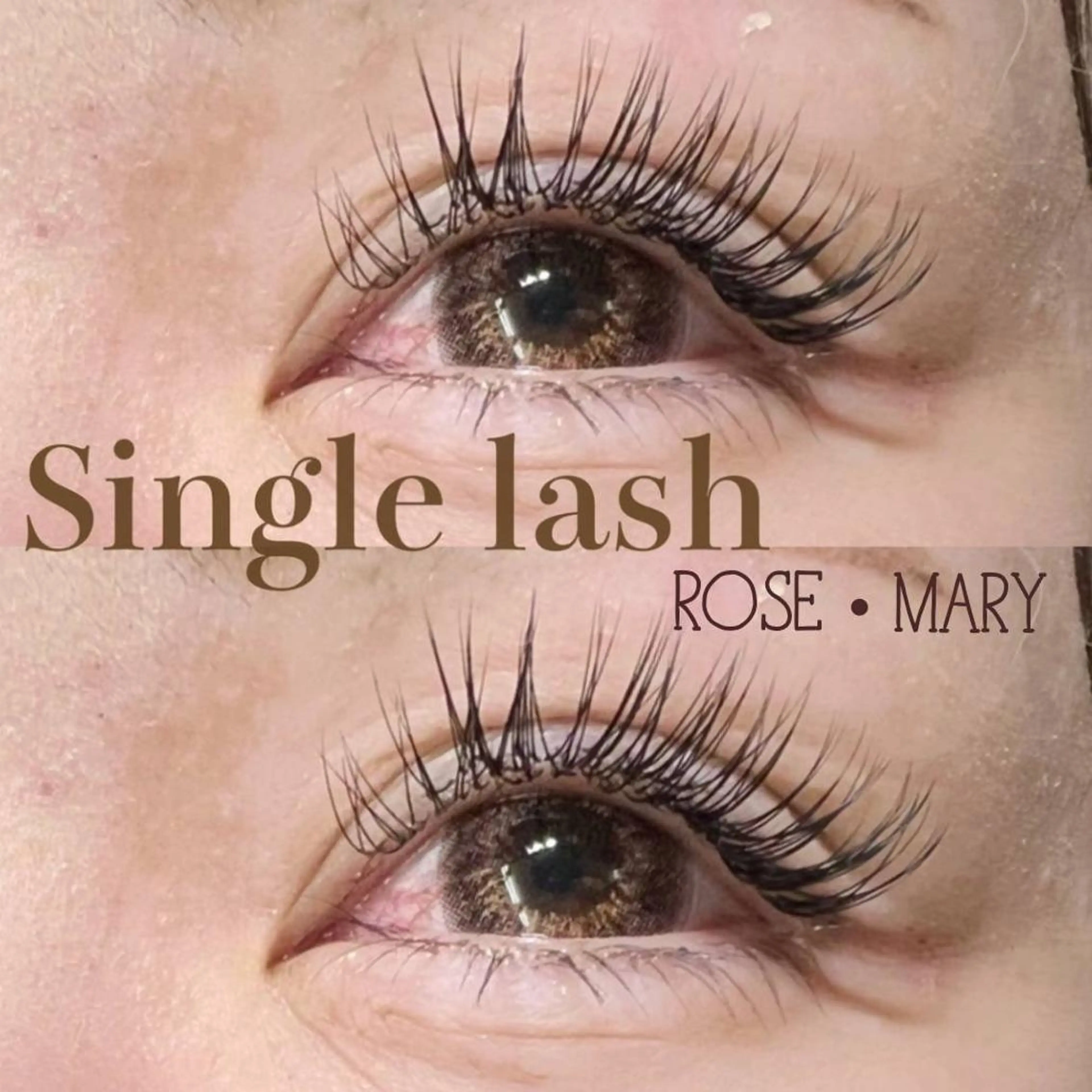 マツエク・マツパ CCカール Cカール マツエク ROSE MARY 大竹のマツエク・マツパデザイン