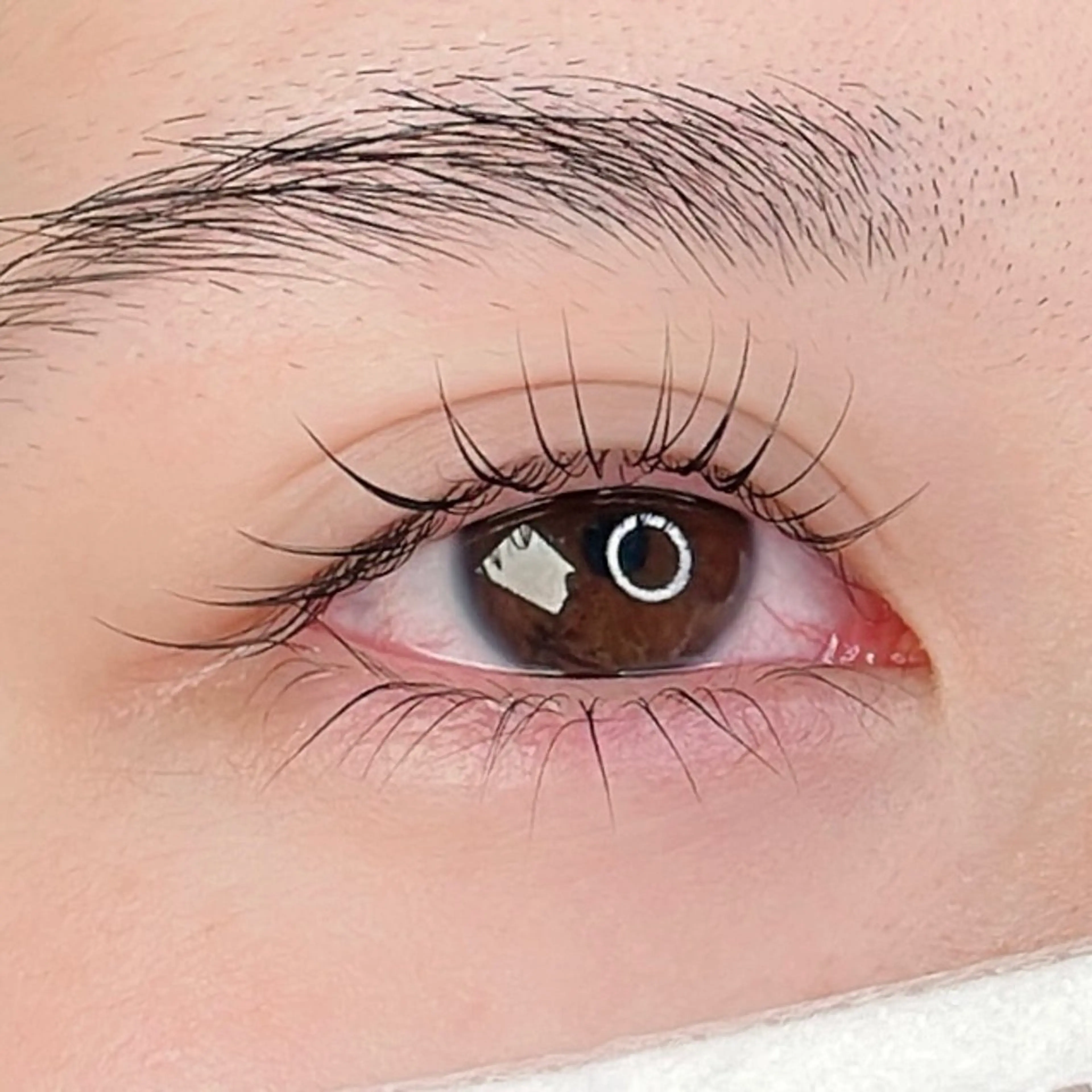 マツエク・マツパ マツパ Halleloo eyelashのマツエク・マツパデザイン