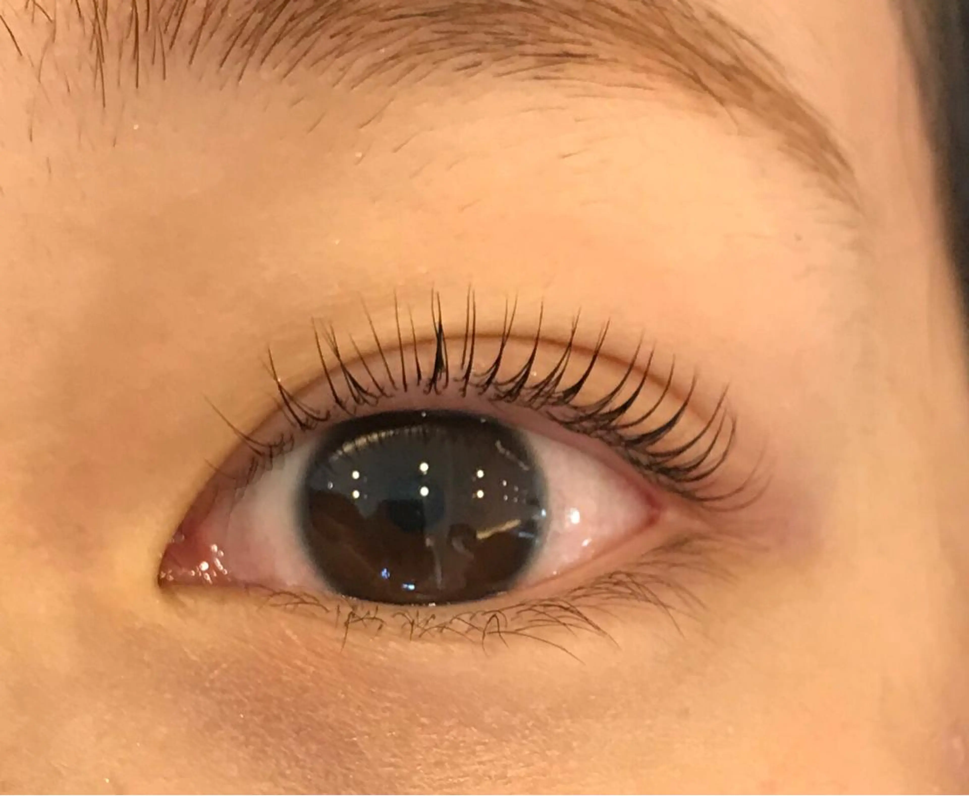 マツエク・マツパ 上野 穂菜実の眉毛・アイブロウイメージ