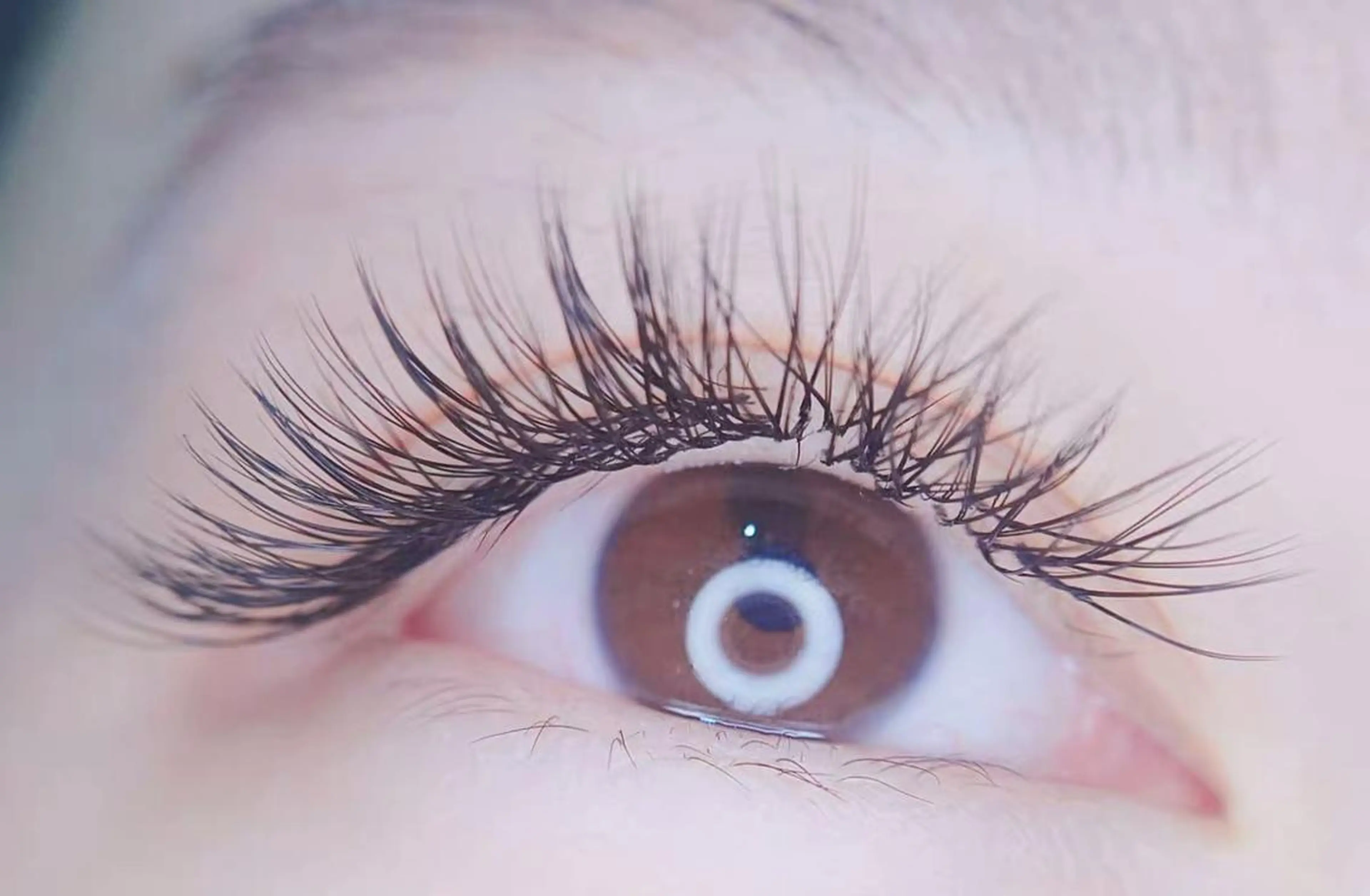 マツエク・マツパ Cute B e au t yのマツエク・マツパデザイン