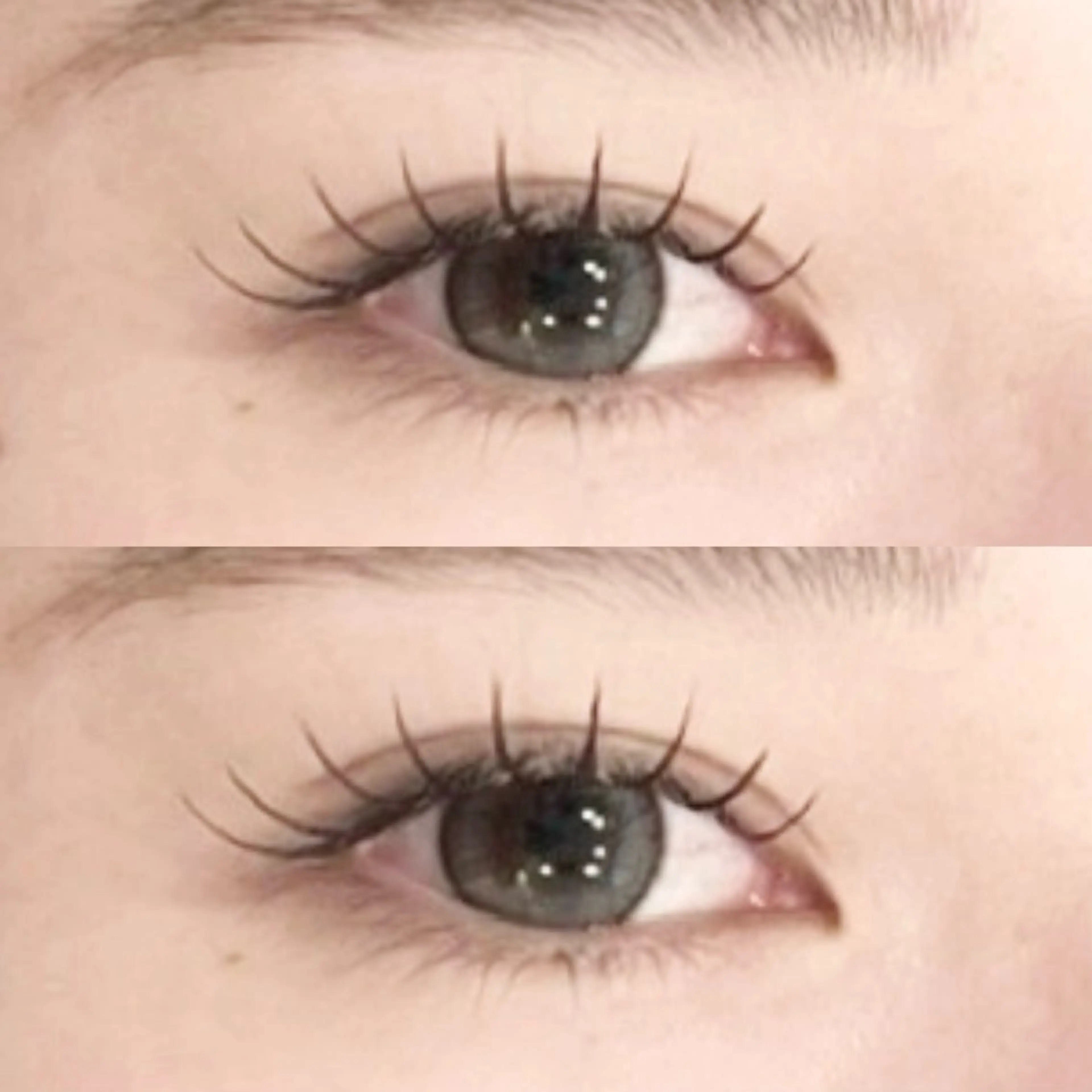 フラットラッシュ140本💖　オフありの写真