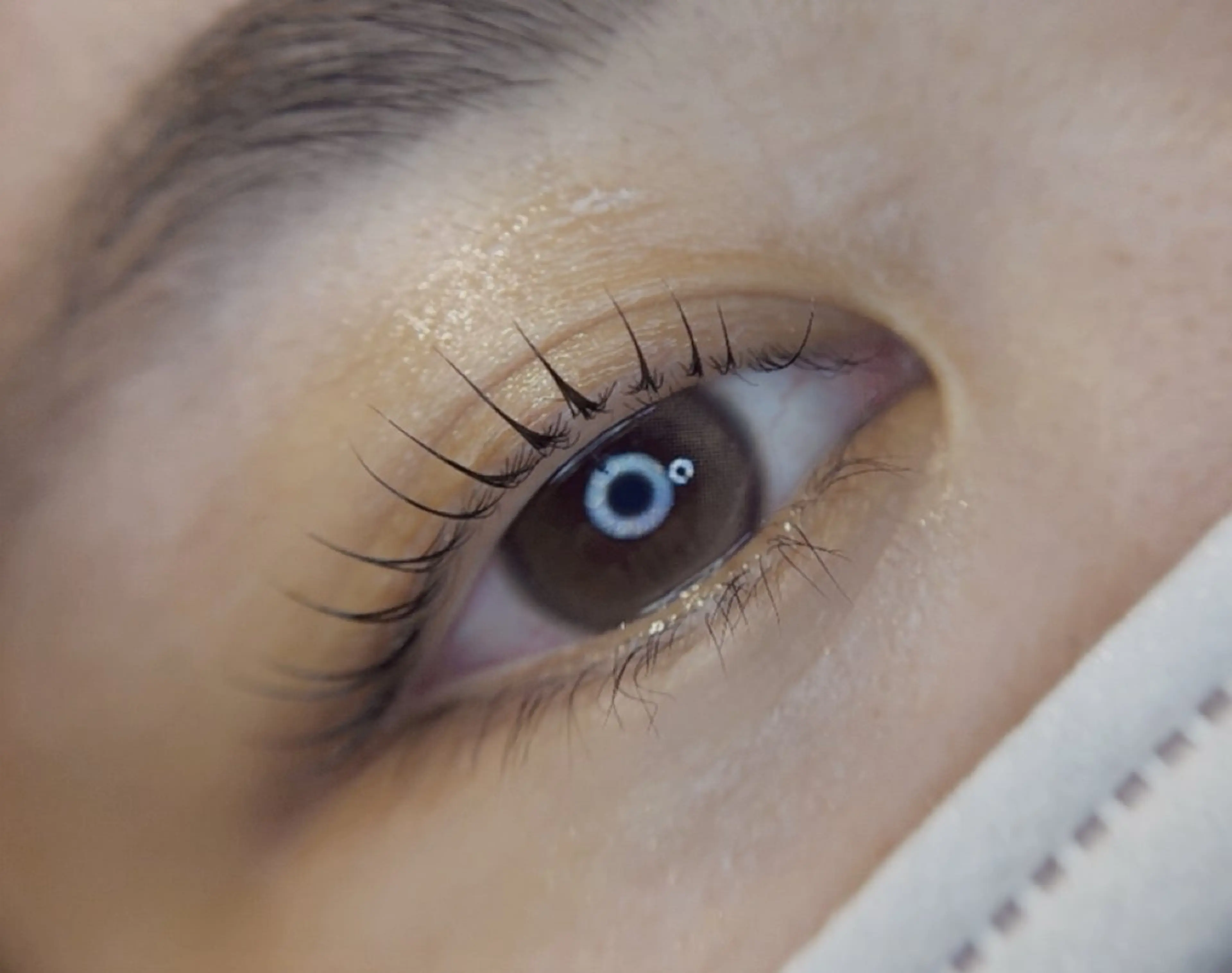 【Jrアイリスト担当KANO】ラッシュリフト上のみ ご新規様限定価格です☘️1日2人限定になります😌の写真