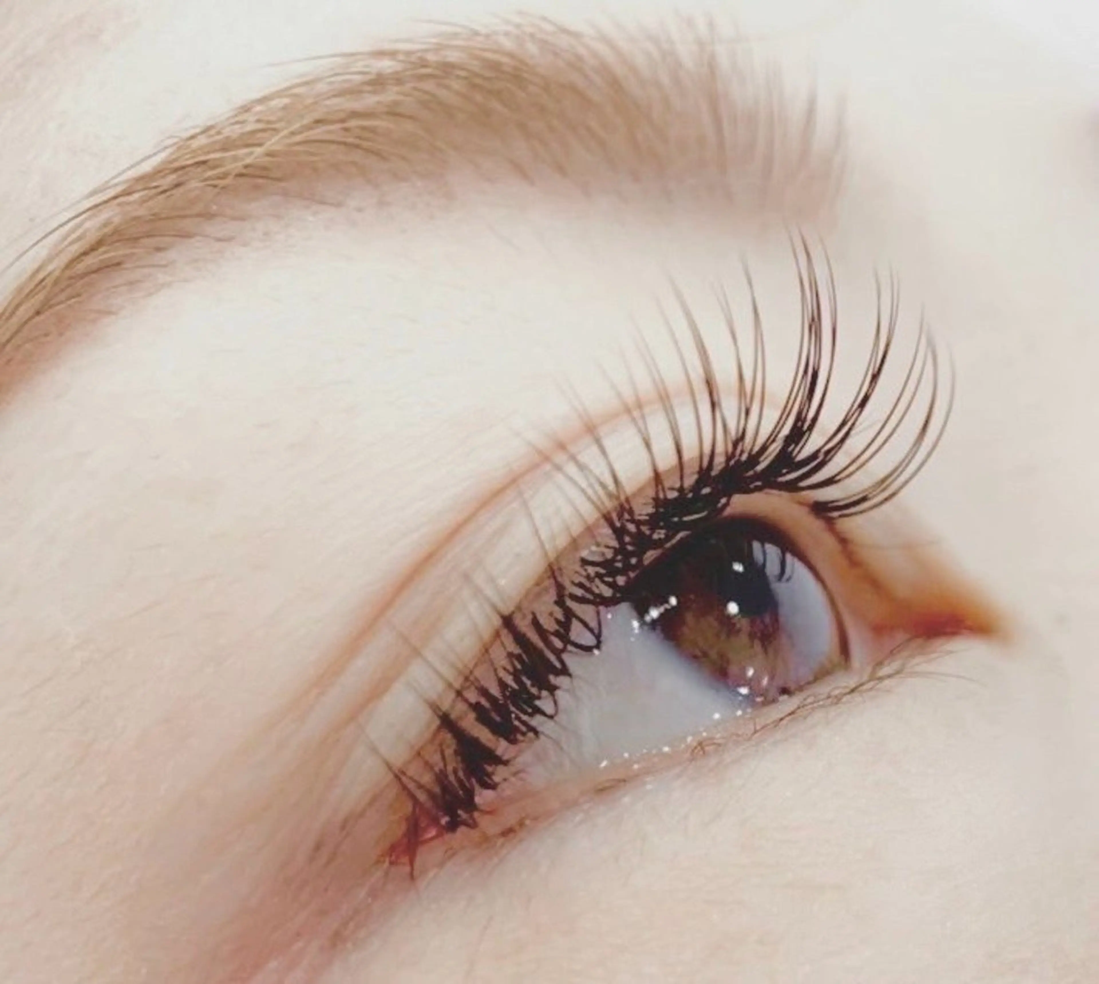 オフ込み抗菌セーブル60分つけ放題 ¥3800の写真