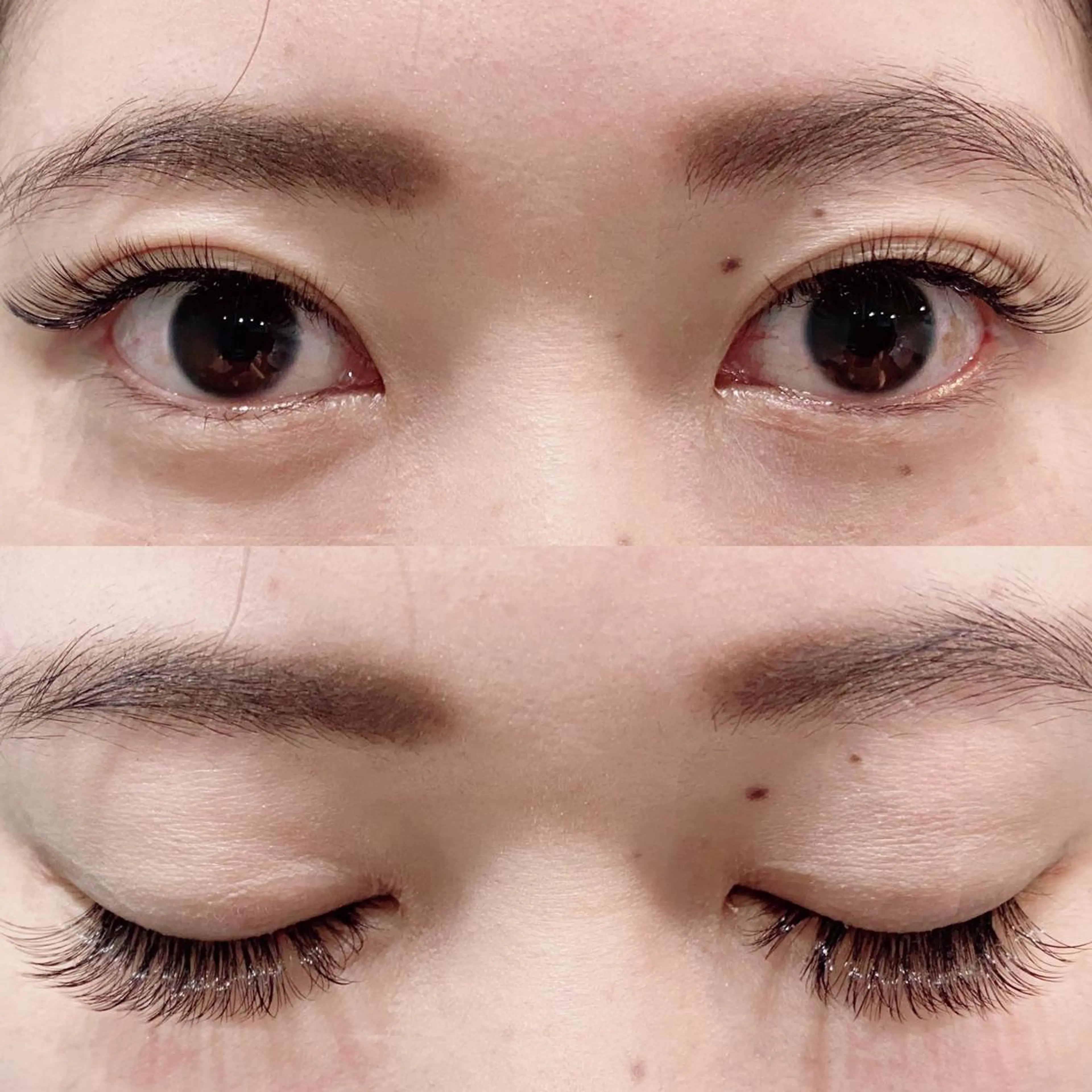 マツエク・マツパ ボリュームラッシュ Bianca 長津田店　長牛の眉毛・アイブロウイメージ