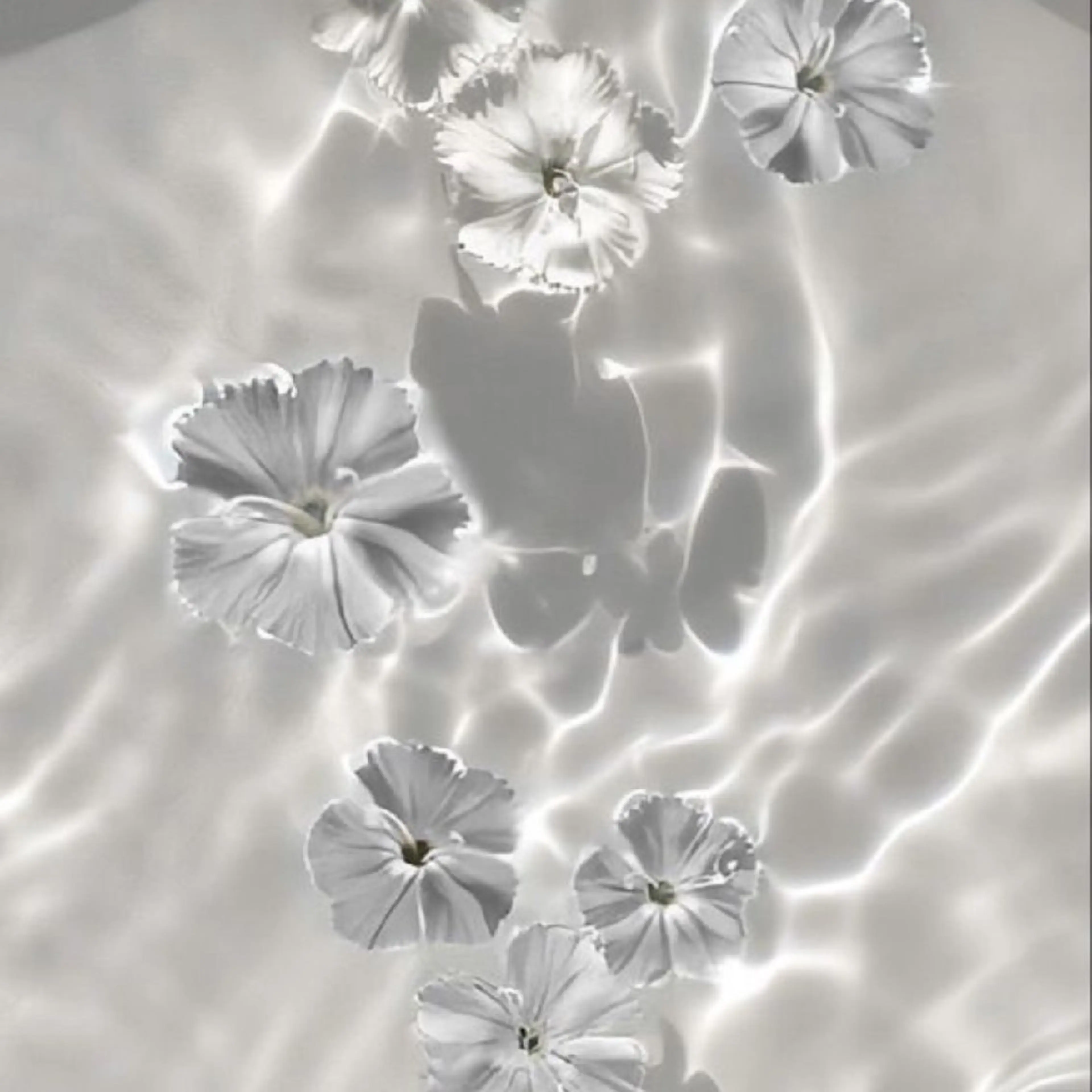 【バスト専門店 】 Kiana のエステ・リラクイメージ