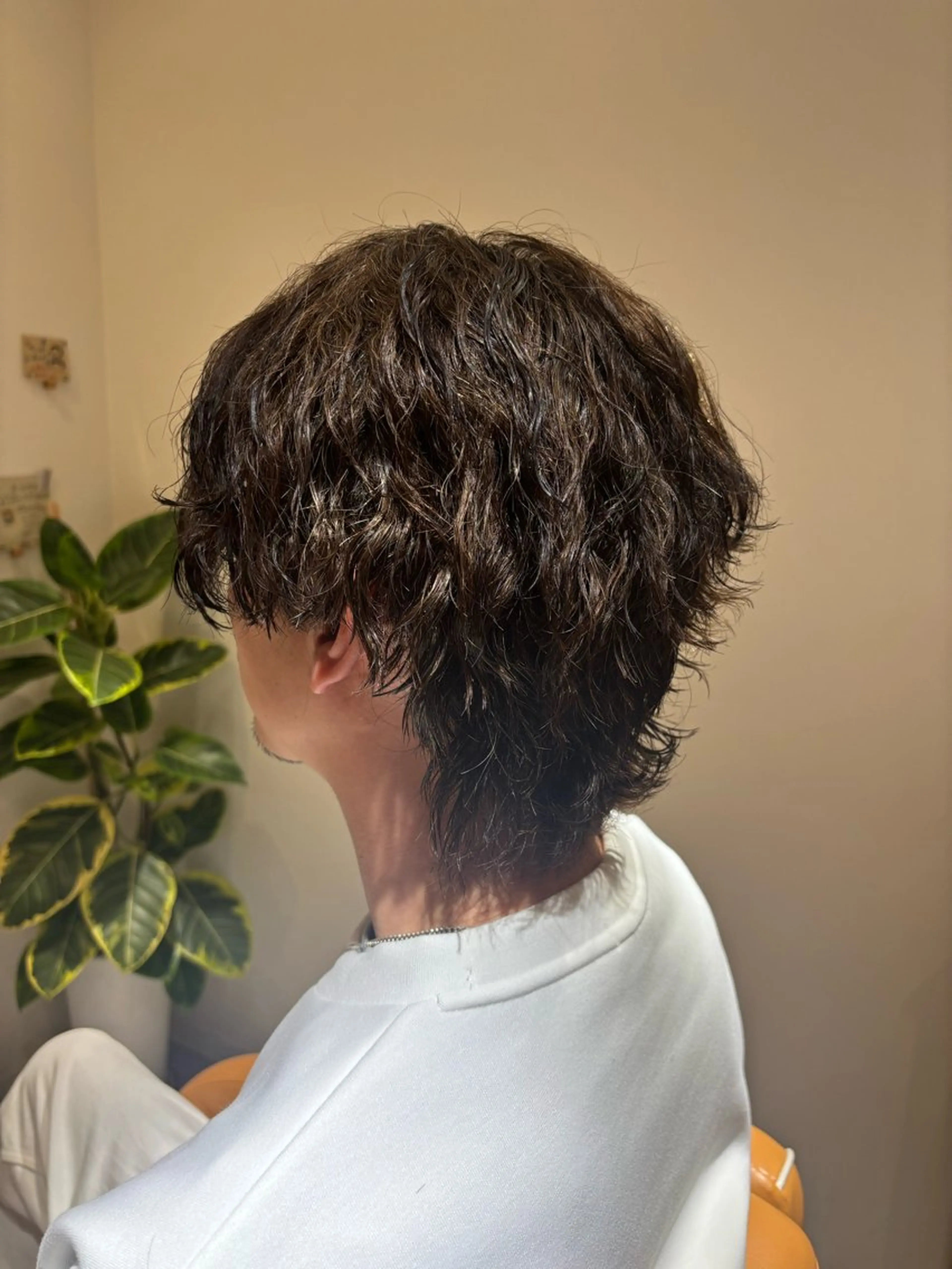 パーマ メンズ メンズパーマ メンズウルフカット ウルフカット mile 〔東二見〕のヘアスタイル