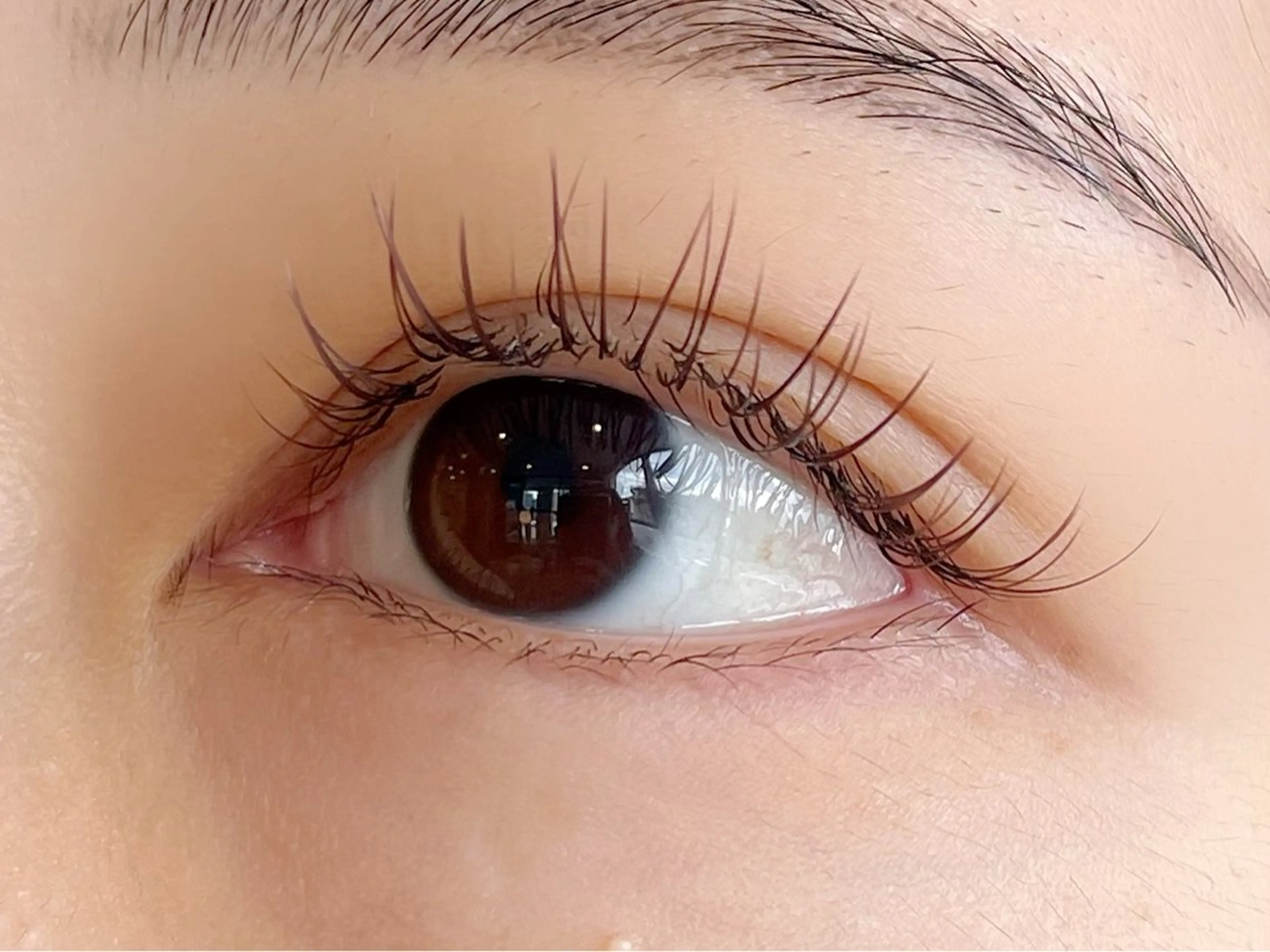 マツエク・マツパ カラーマツエク ナチュラル マツエク Mei🌼 Epillのマツエク・マツパデザイン