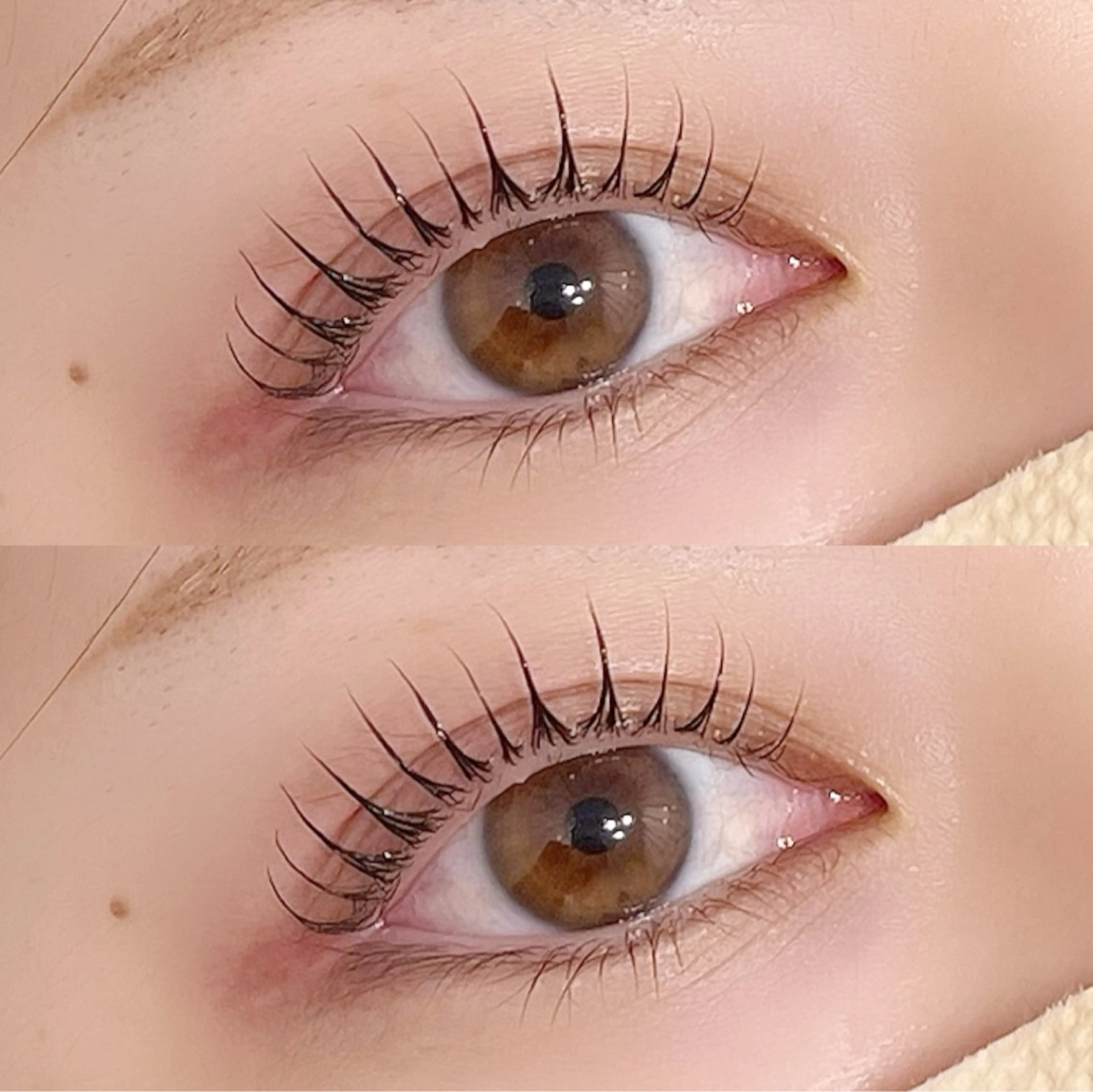 マツエク・マツパ マツパ Lumina Fuyumiのマツエク・マツパデザイン