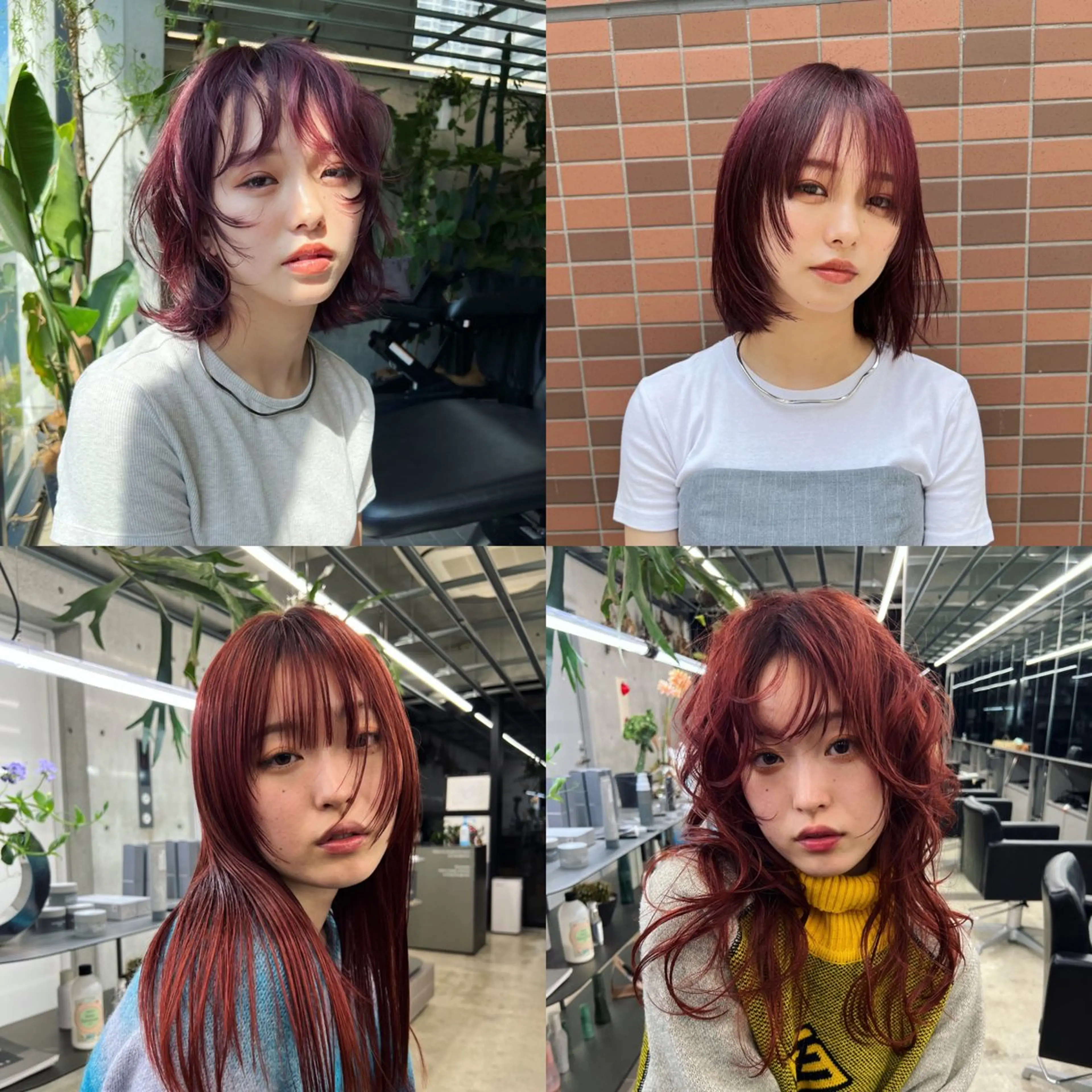カラー ハッシュカット カシマハヤトのヘアスタイル
