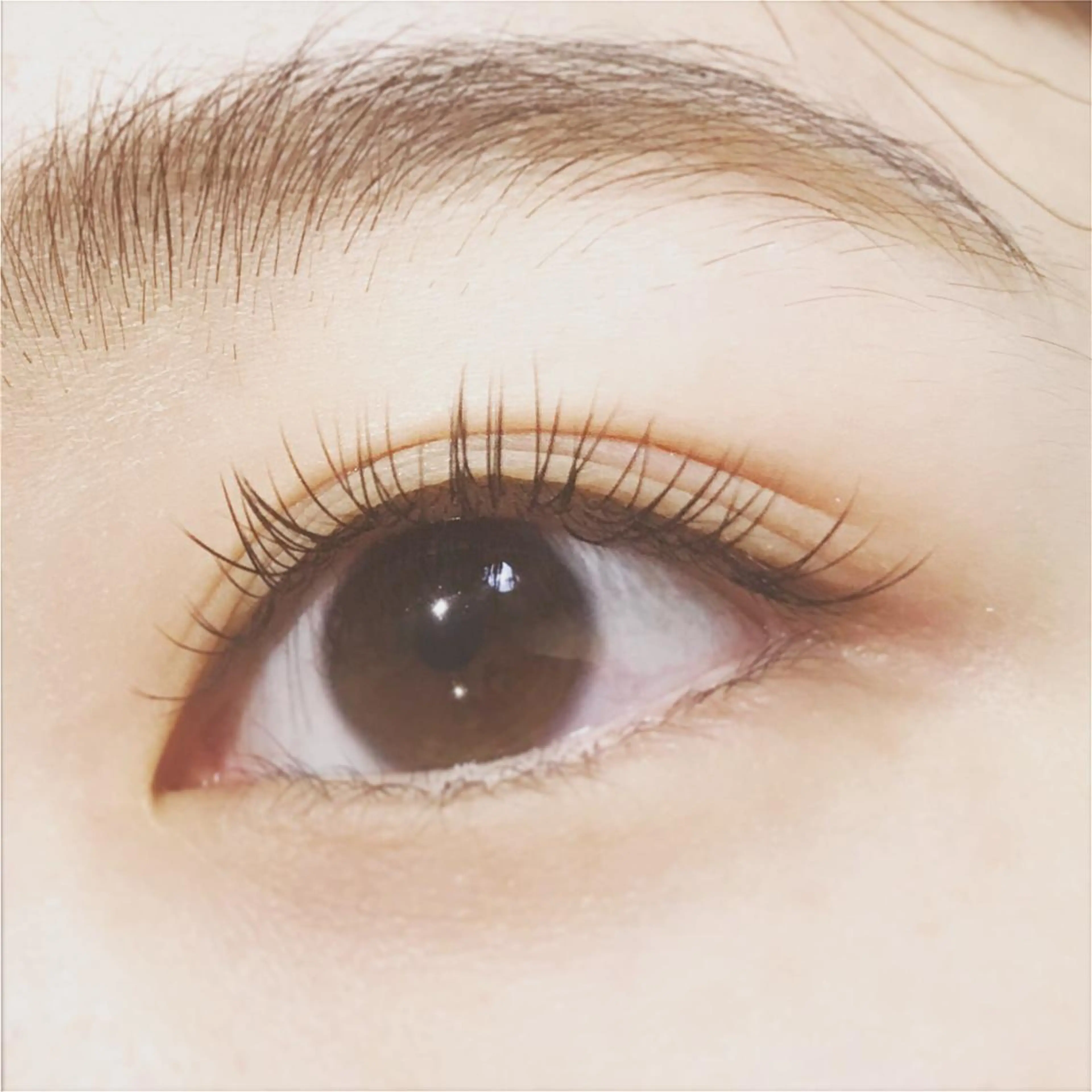 マツエク・マツパ フラットラッシュ にっくに ちひろの眉毛・アイブロウイメージ