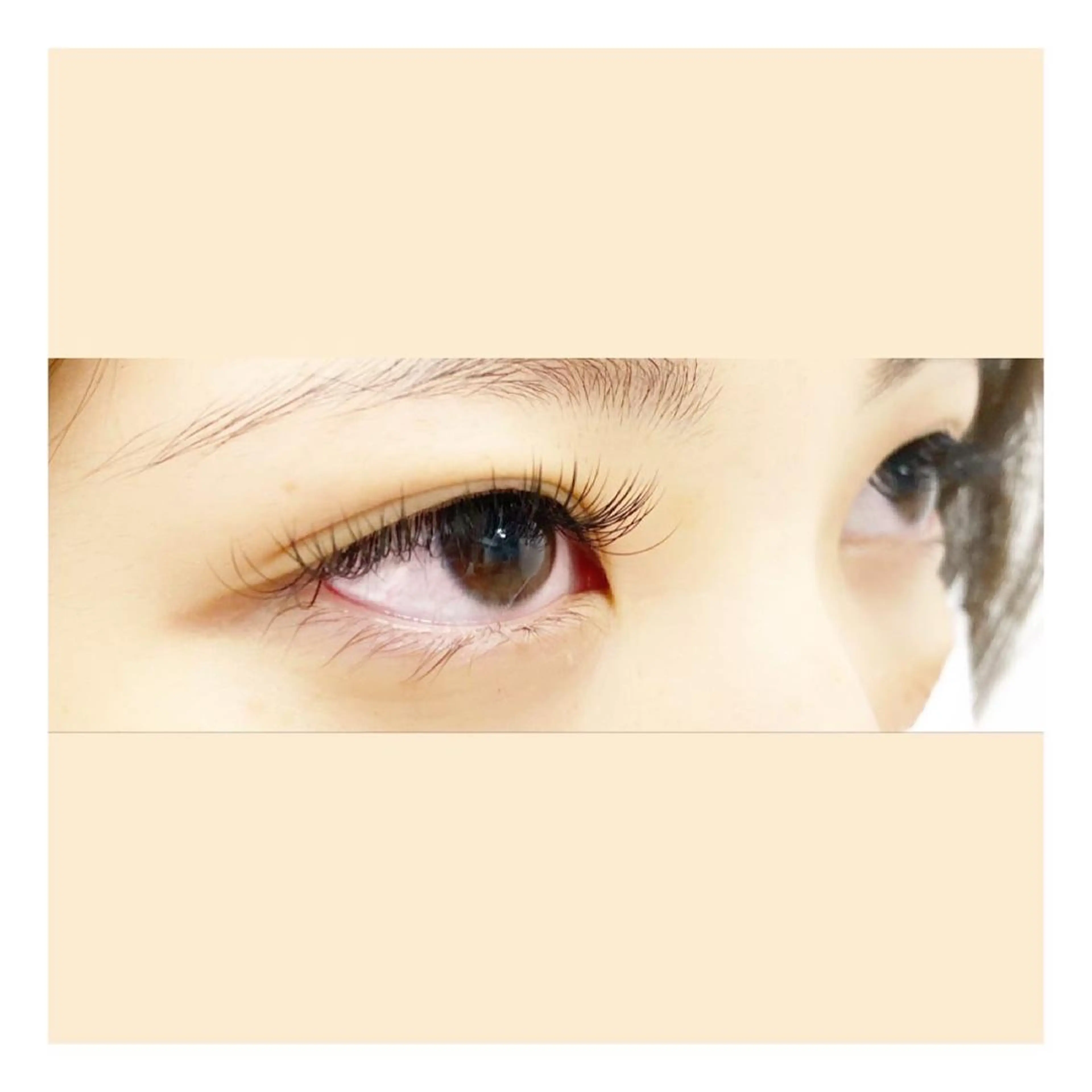 マツエク・マツパ フラットラッシュ マツエク MAHALO 𓆉の眉毛・アイブロウイメージ