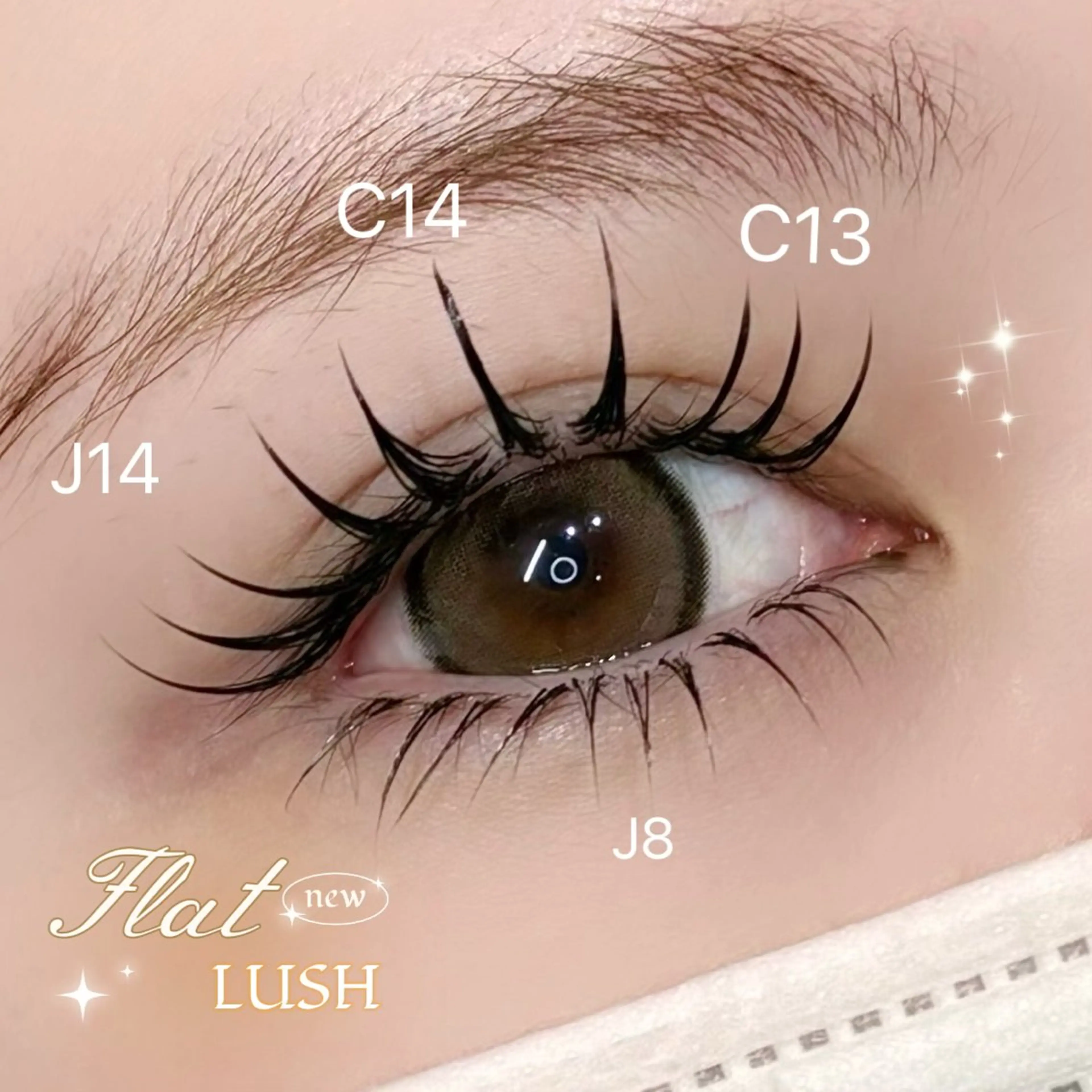 【新メニュー✨️】フラットラッシュ120×下エクステ付け放題(コーティング・オフ込)の写真