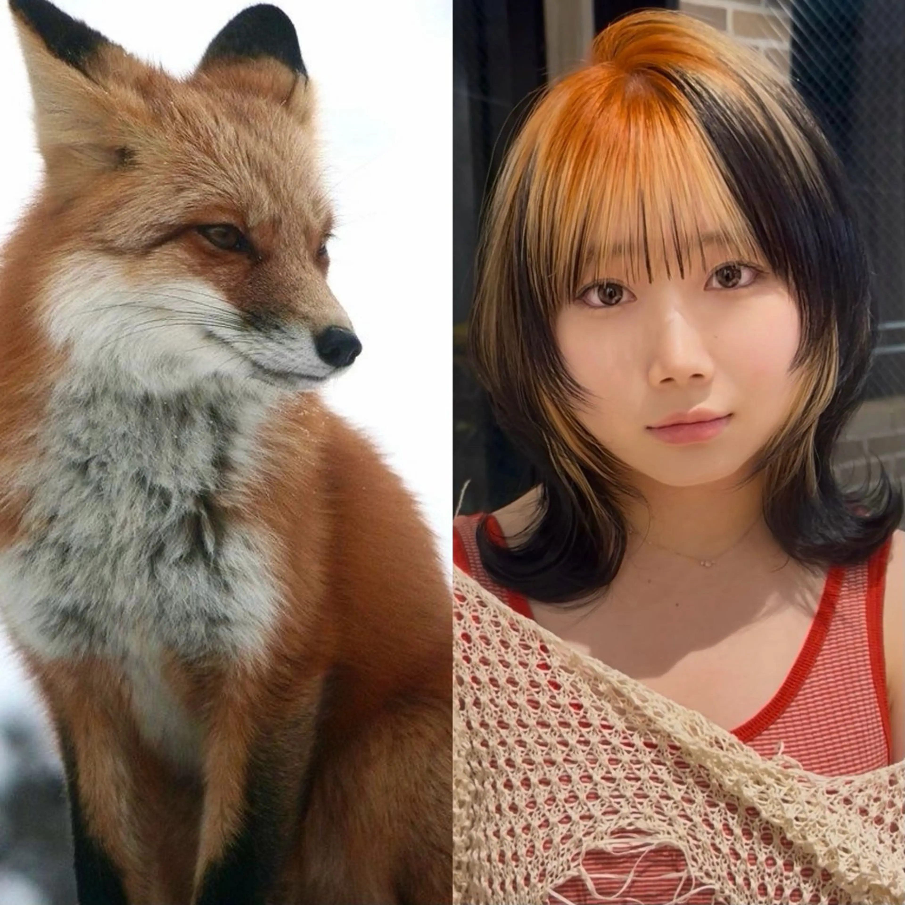 ミディアム カラー カット ヘアカラー トリートメント ウルフ/レイヤー/ ブリーチカラーのヘアスタイル