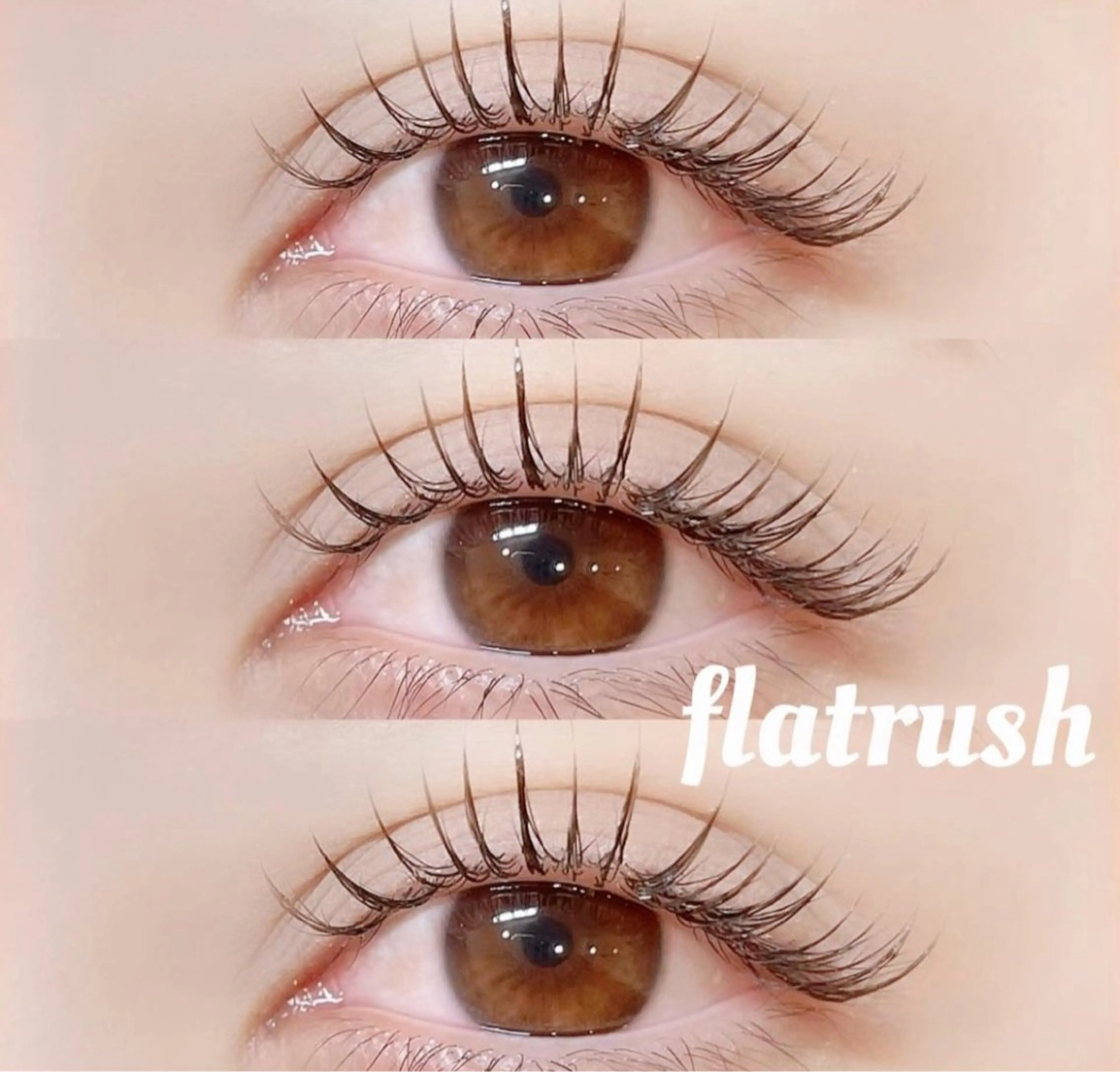 フラットラッシュ120本🎀の写真
