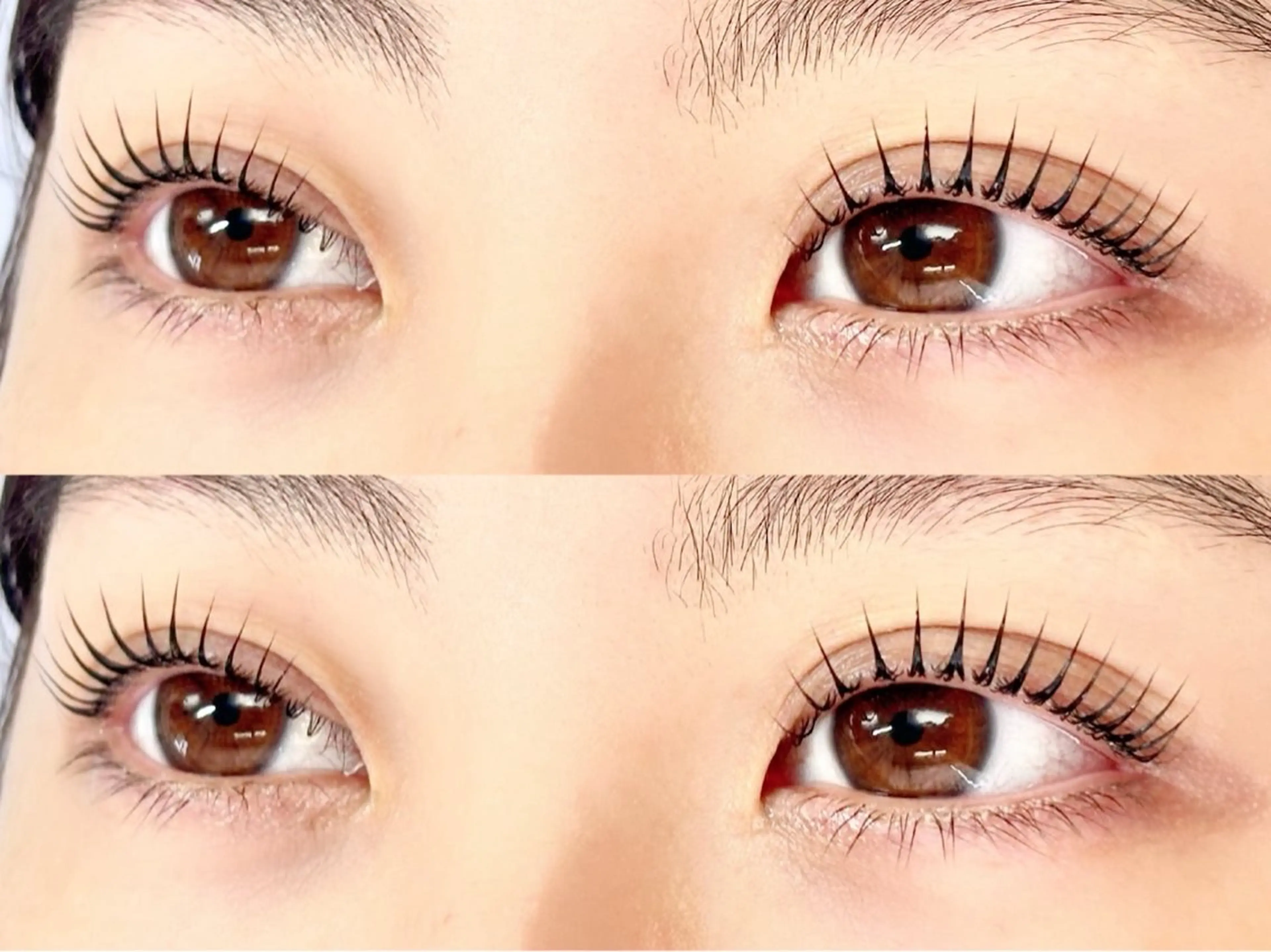 マツエク・マツパ Butterfly 🦋いのうえのマツエク・マツパデザイン