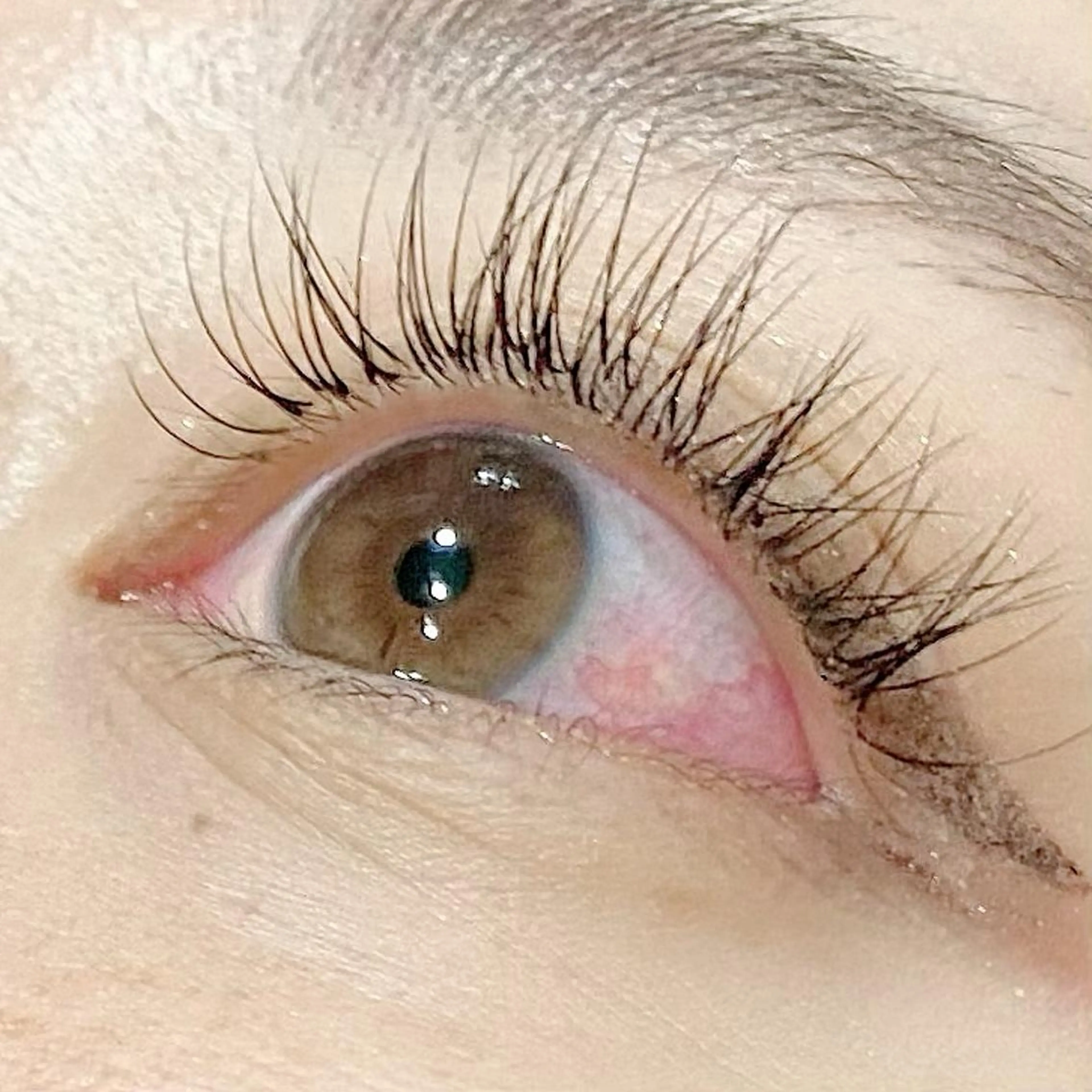 シングルエクステ100本⚠️最後まで読んだ上でご予約ください⚠️の写真