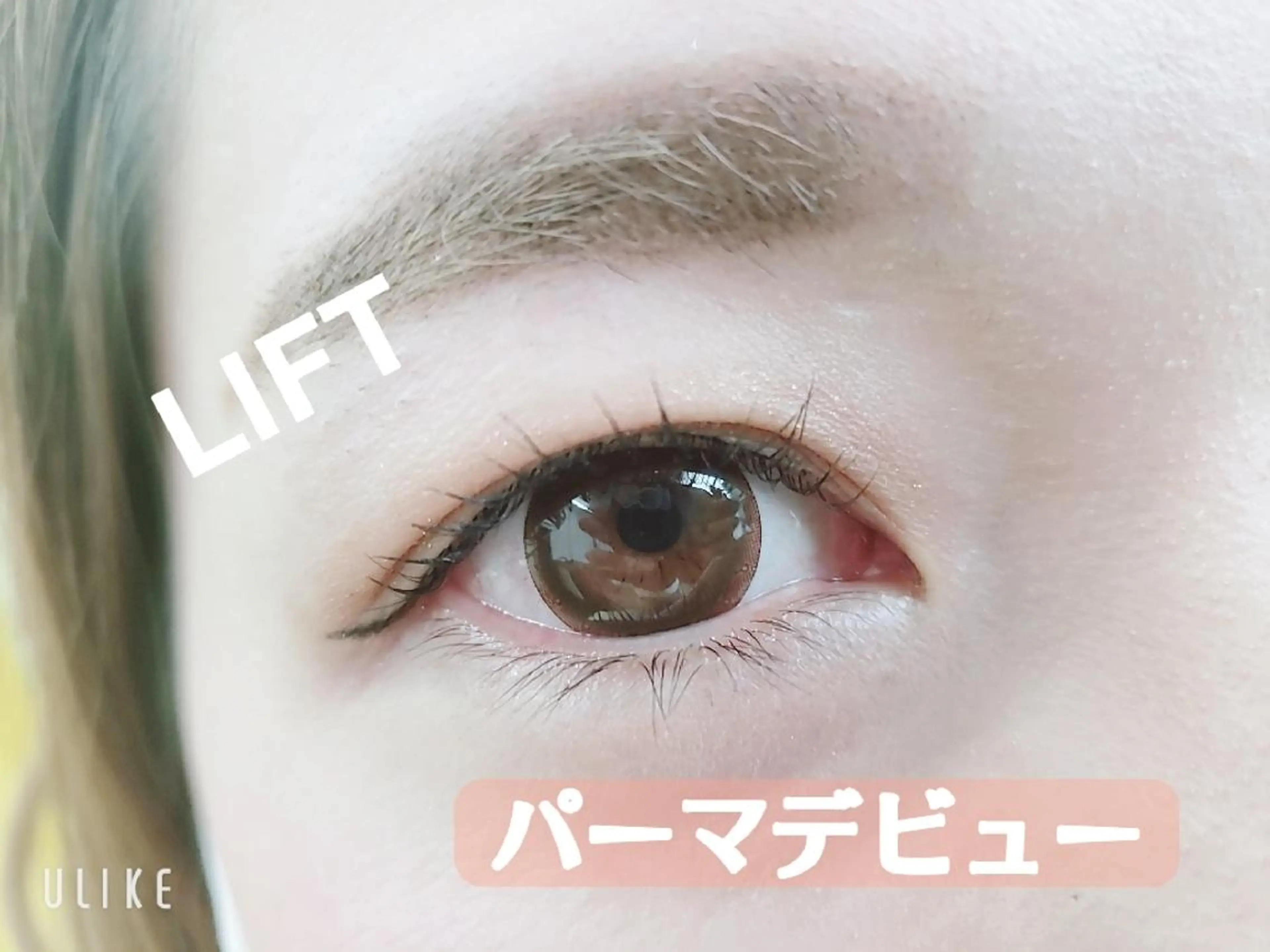 マツエク・マツパ マツパ 風間 莉緒のマツエク・マツパデザイン