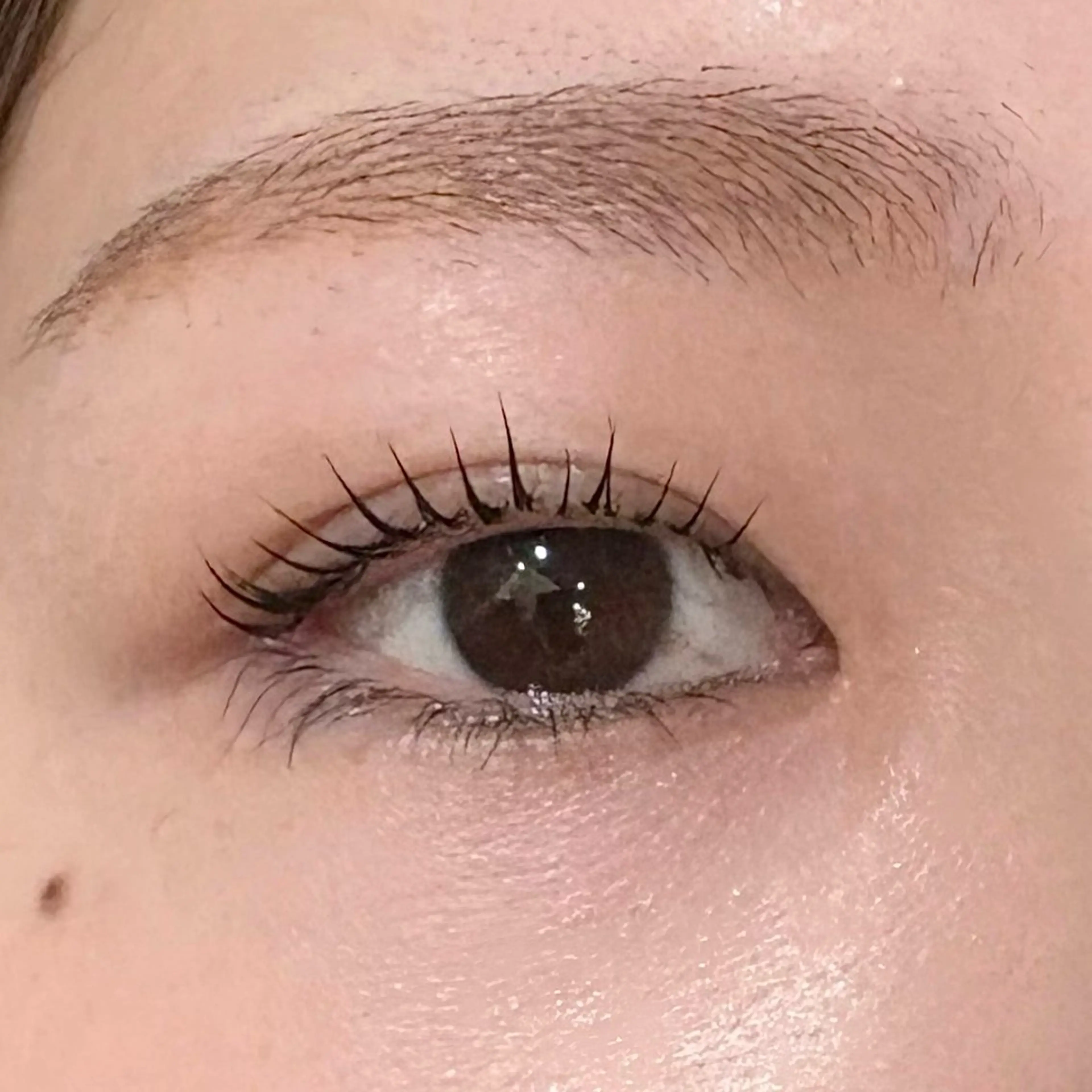 マツエク・マツパ FOXYLASH Hoichiのマツエク・マツパデザイン