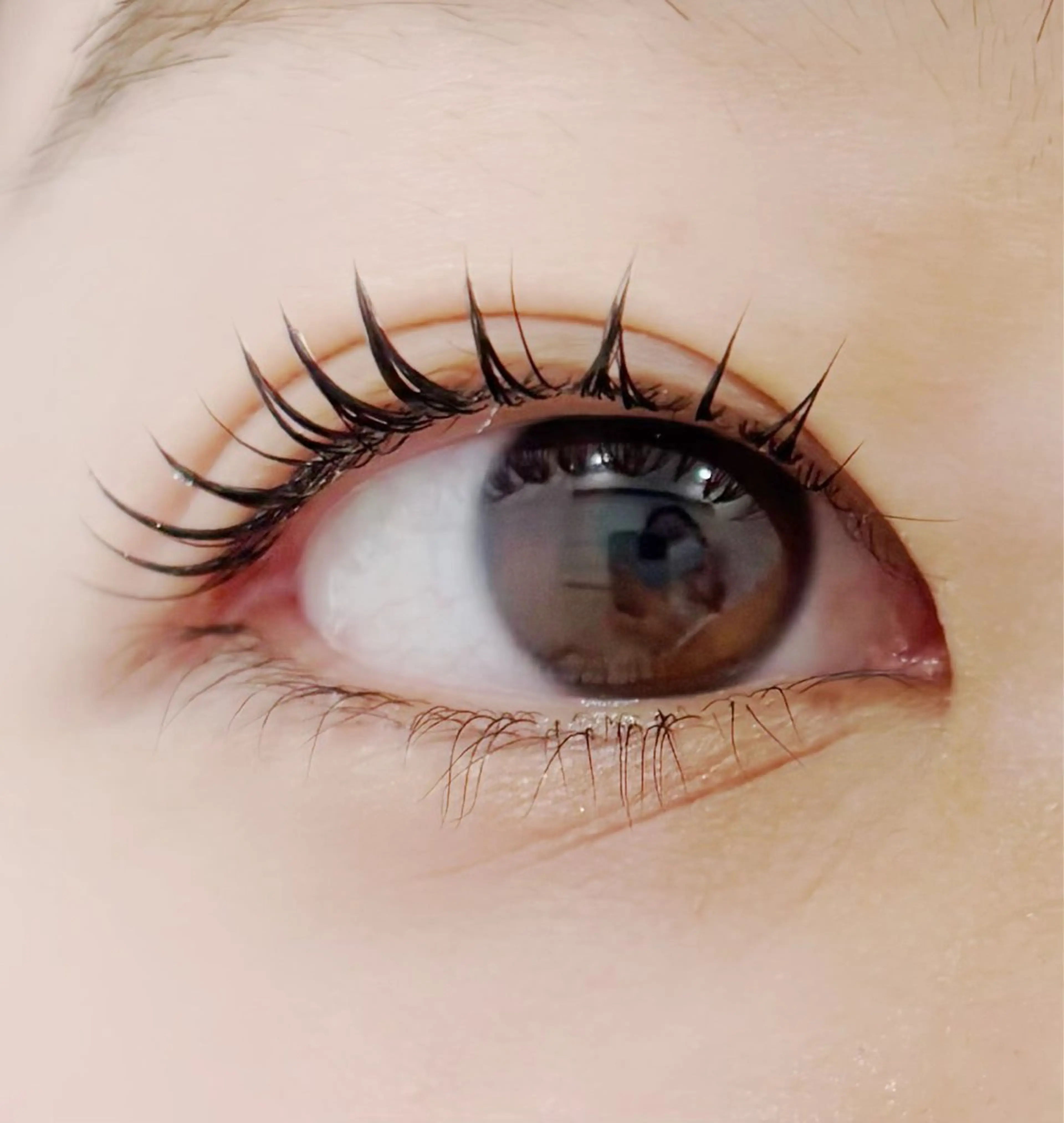 マツエク・マツパ カルフールノア大船/ Ririの眉毛・アイブロウイメージ