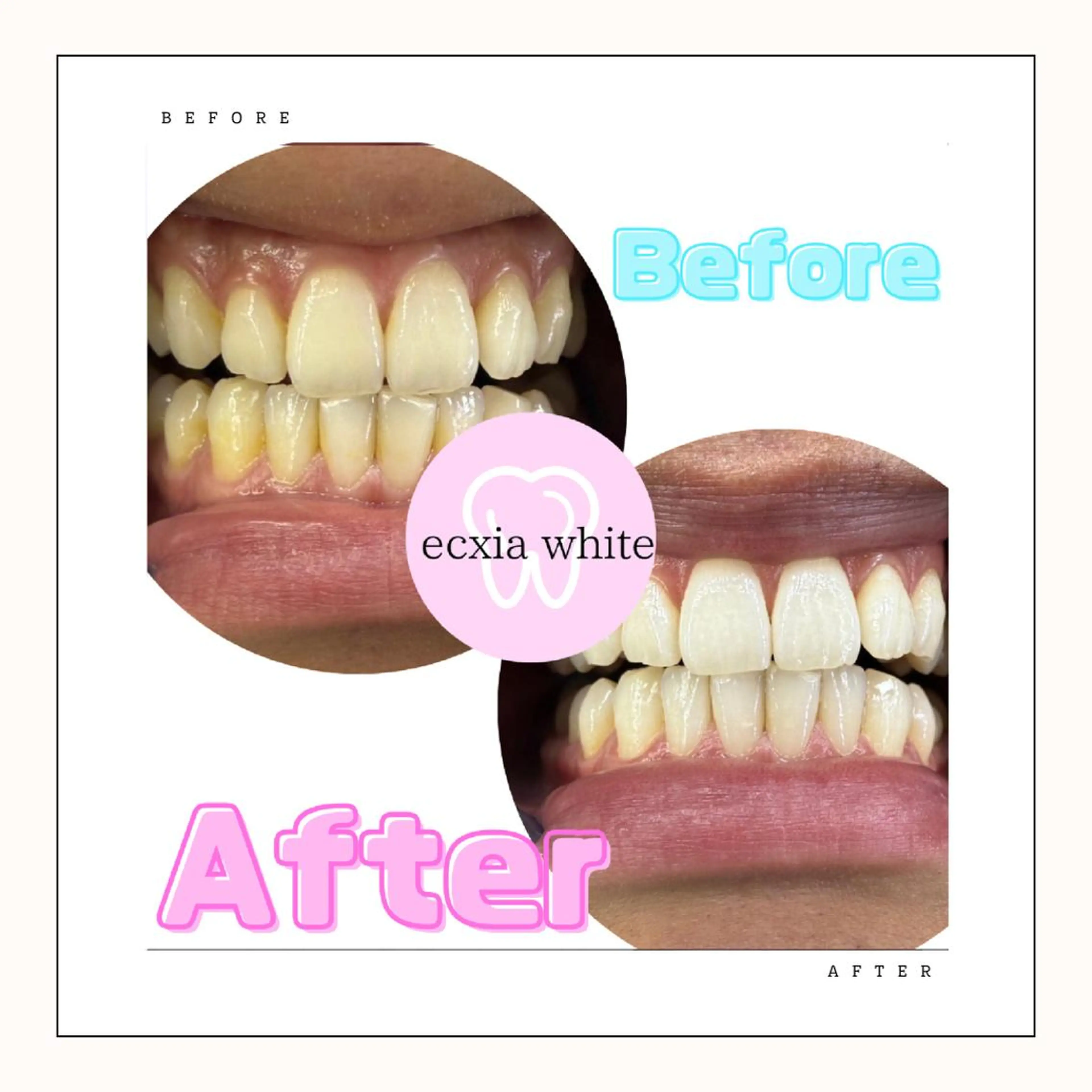 【　エクシア麻布　】 【　医療提携店　】のその他イメージ