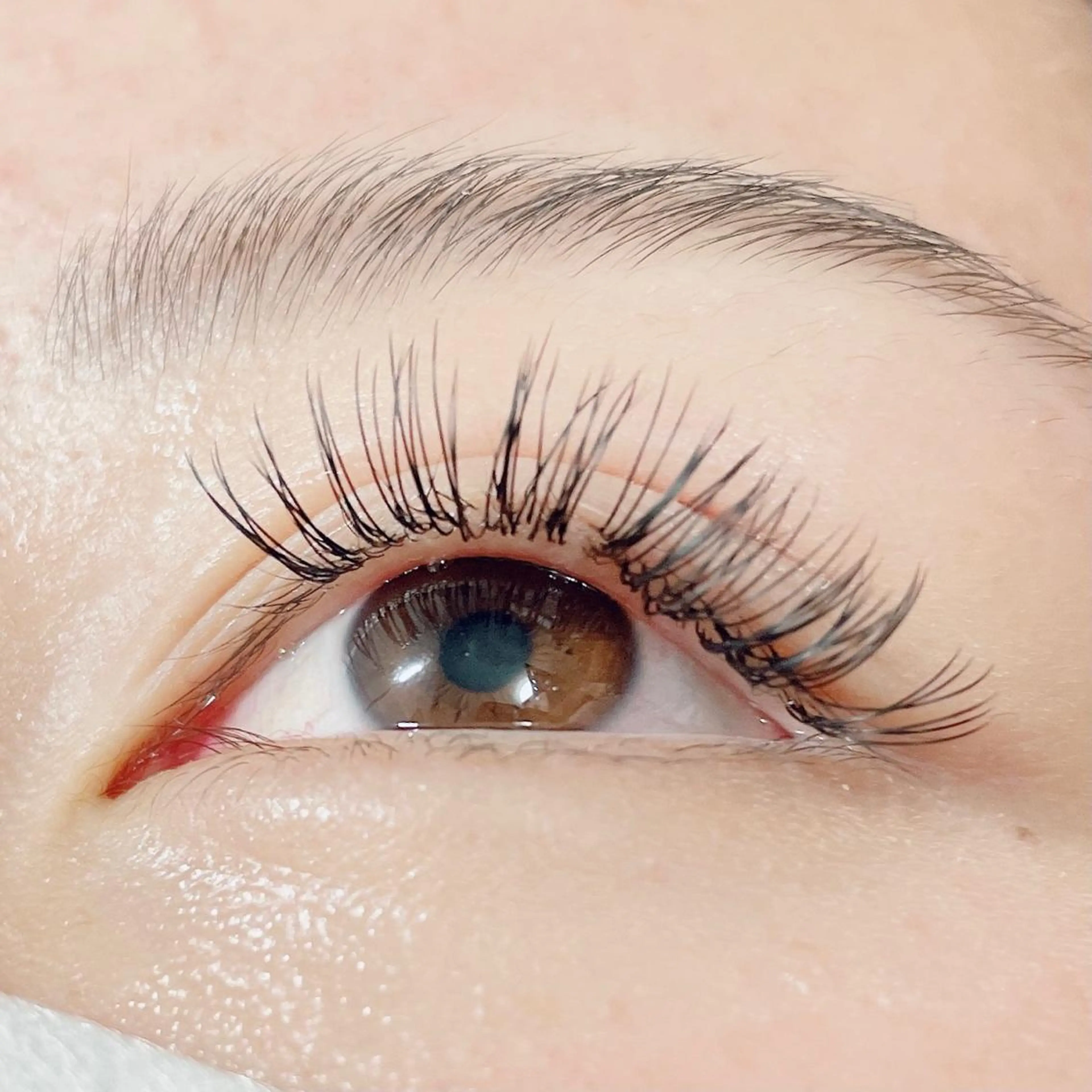 マツエク・マツパ キュート Dカール フラットラッシュ マツエク アイラッシュサロンfleur🍀所属・🍀fleur🍀 束感/ワンホン/杉浦のマツエク・マツパデザイン