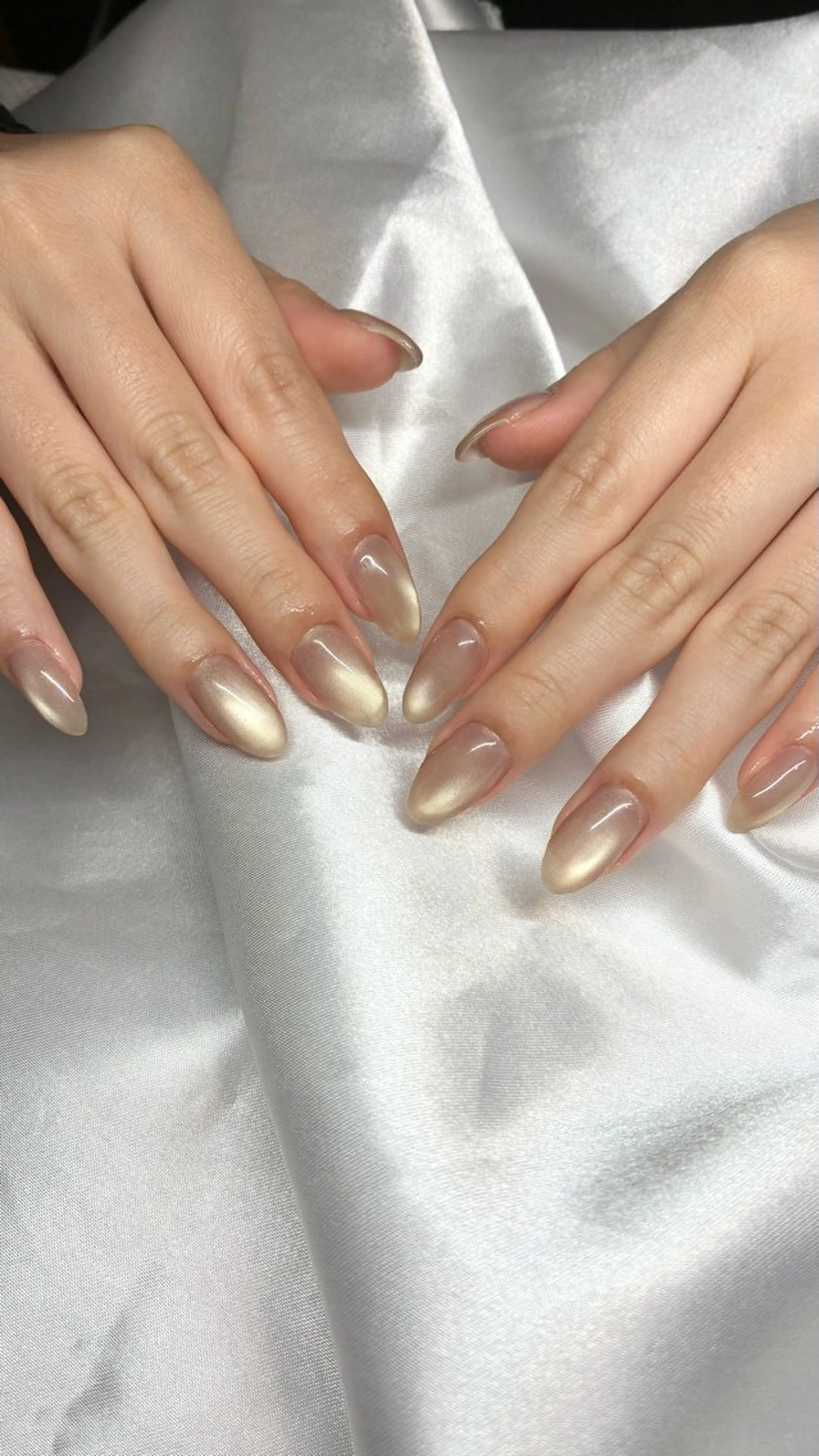 ネイル ジェルネイル マグネットネイル ハンドネイル Nail ヌシん家 AKANEのネイルデザイン