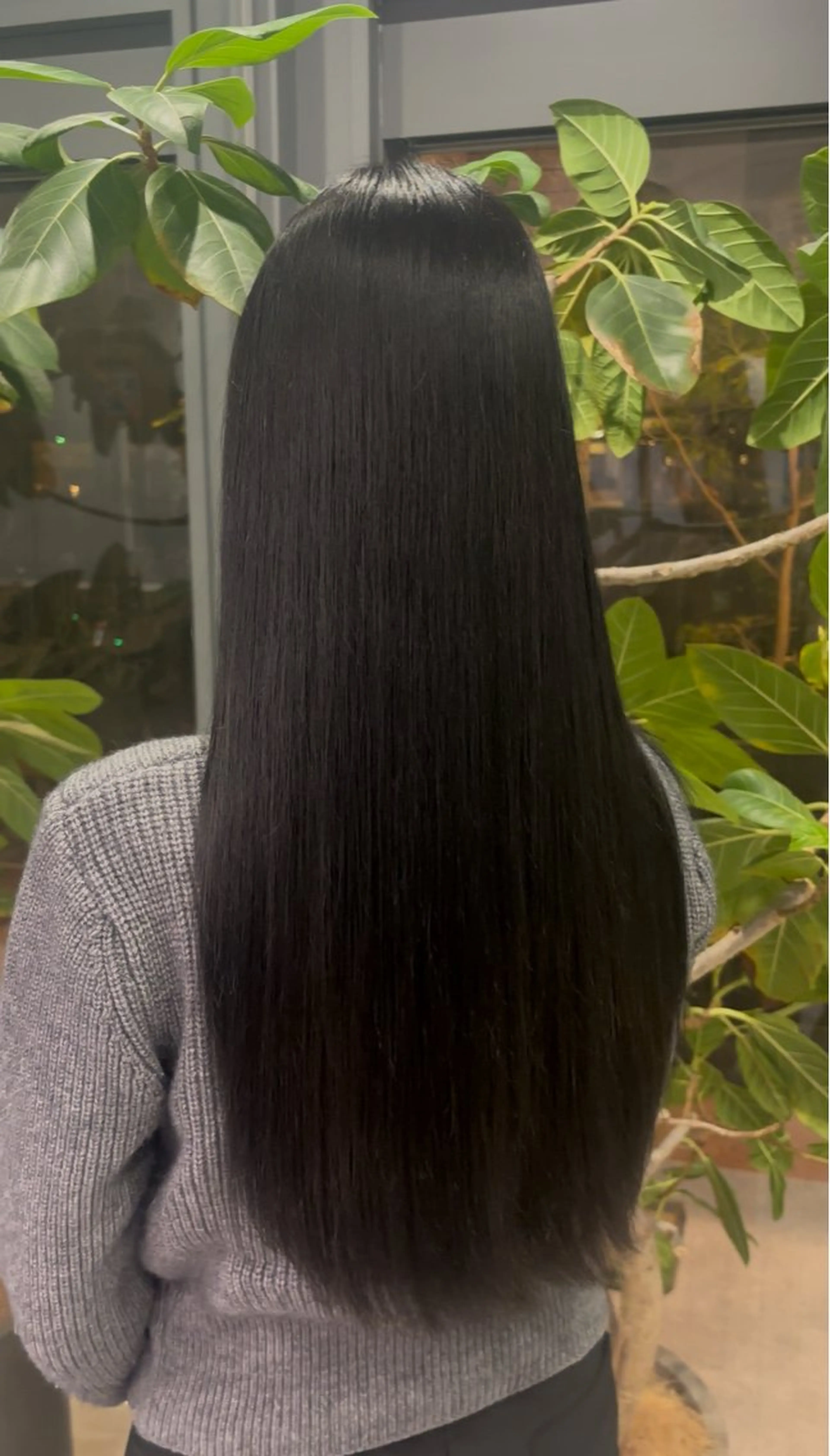 カラー ヘアカラー 🐈‍⬛JUMI /透明感カラー/🩶のヘアスタイル