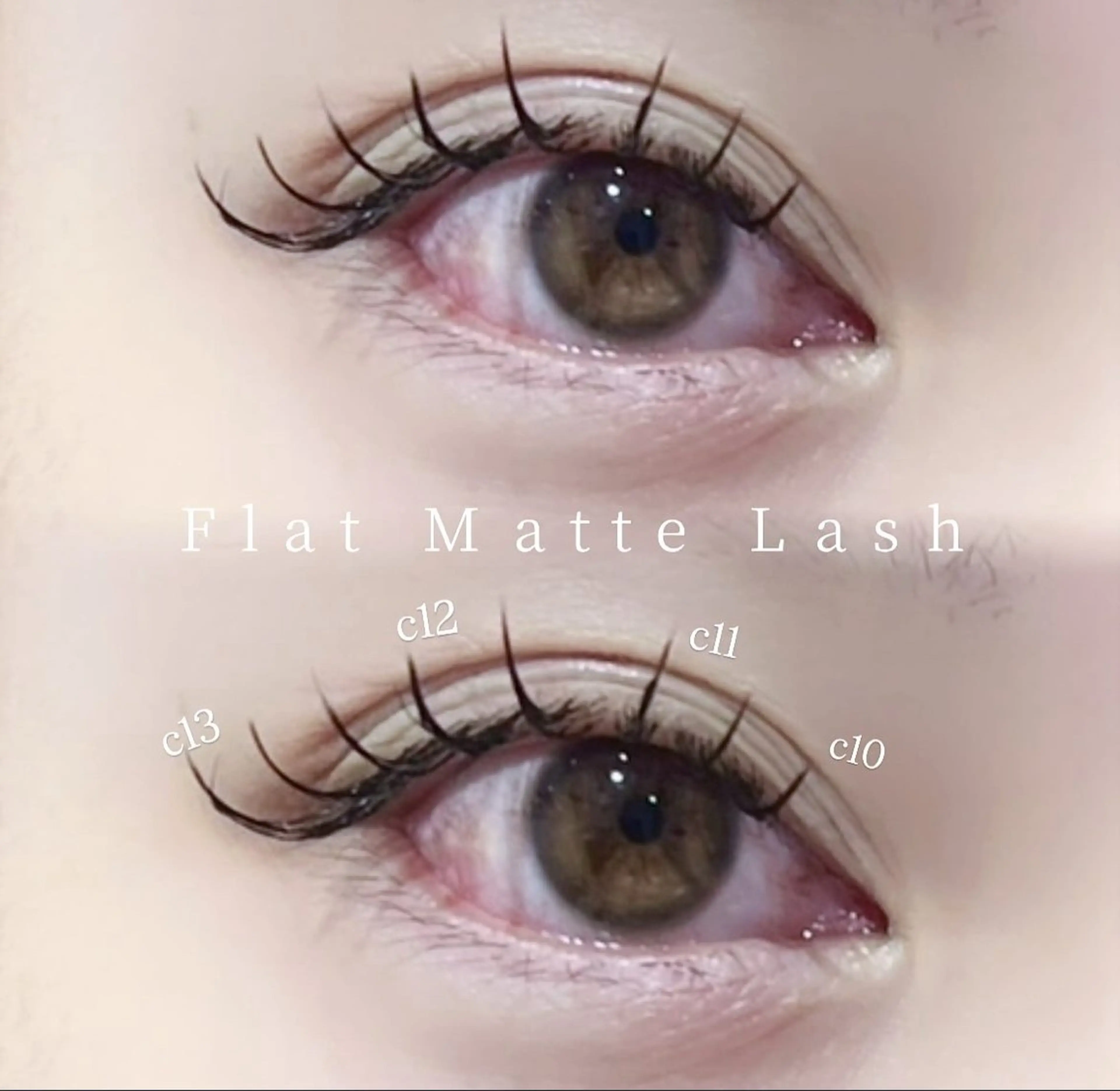 ♡ご新規様♡フラットマットラッシュ 80本(オフなし)🎀の写真