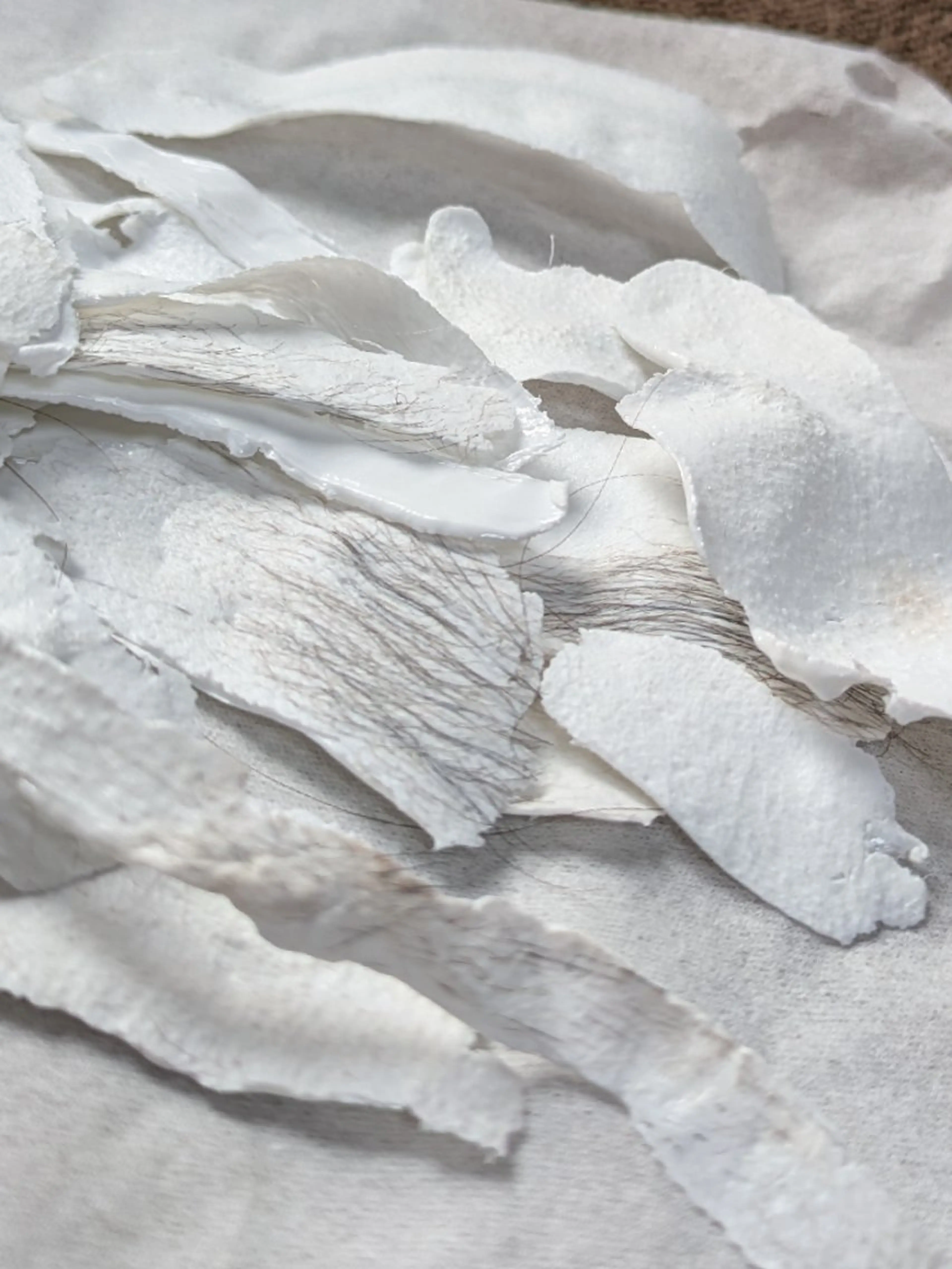 ワックス脱毛  SOLEIL 小玉の眉毛・アイブロウイメージ