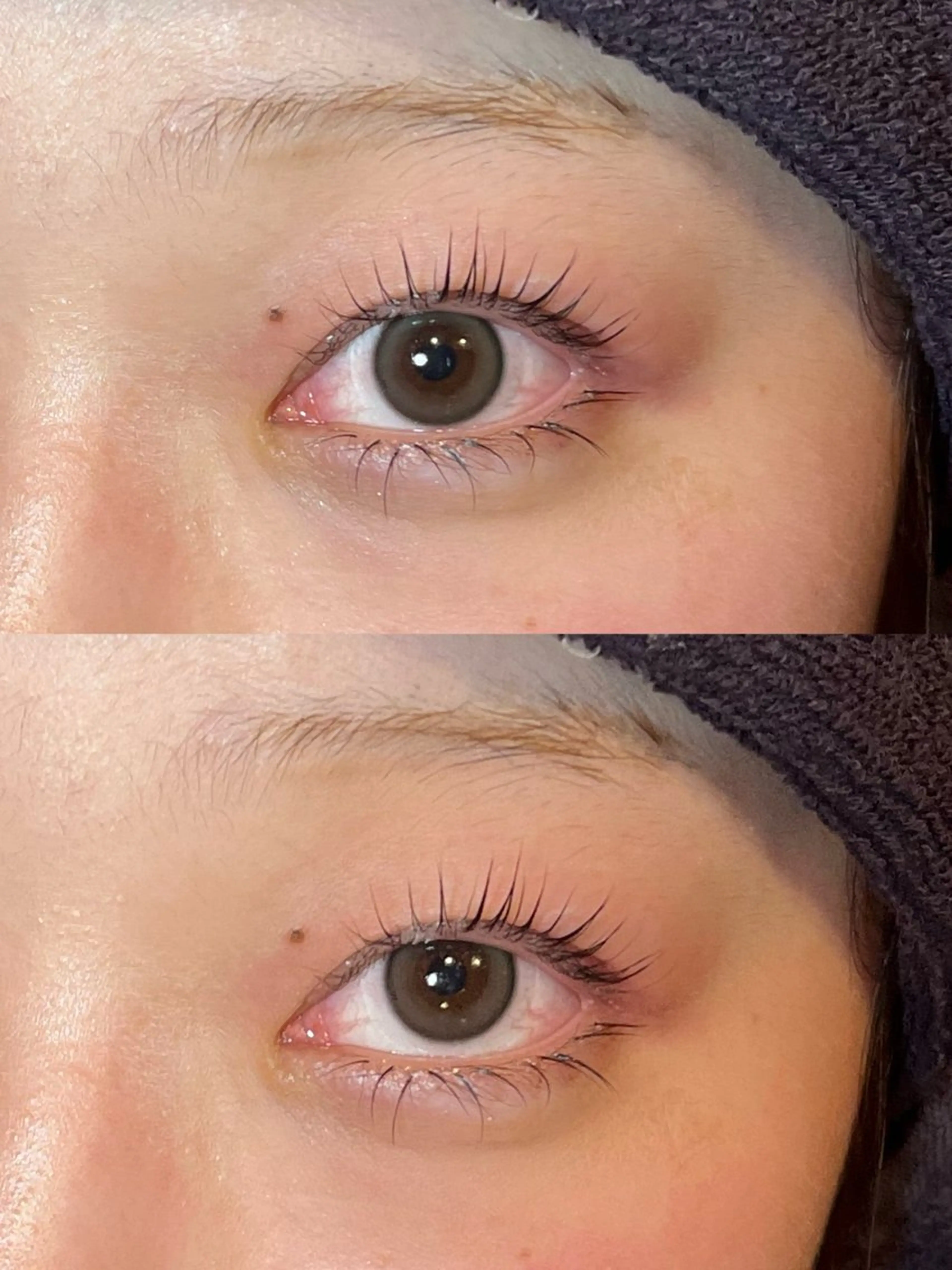 【平日限定】💕🌚パリジェンヌモデル🌚💕次世代マツゲパーマ👌の写真