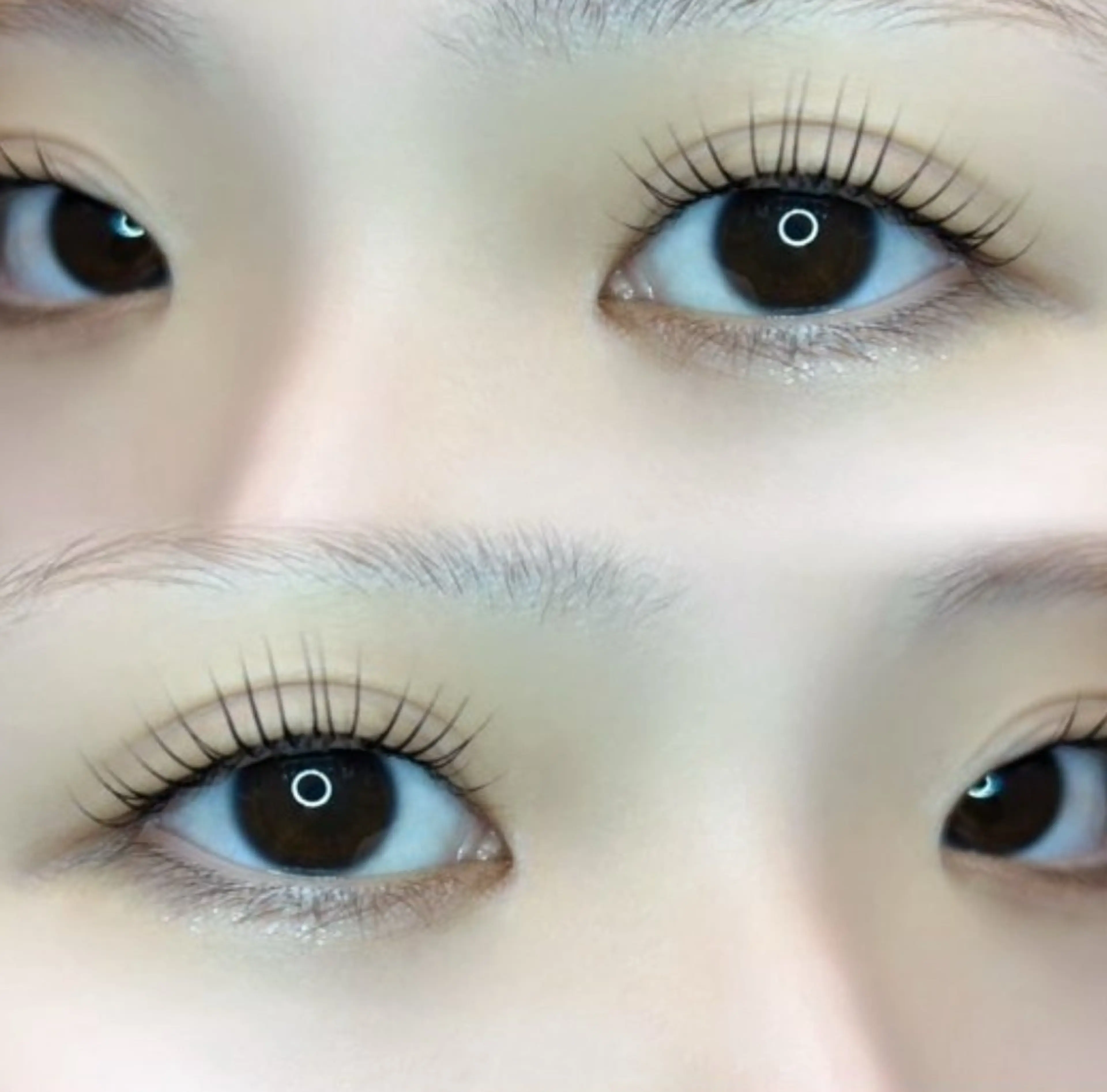 マツエク・マツパ 🍀fein. sakura🍀の眉毛・アイブロウイメージ