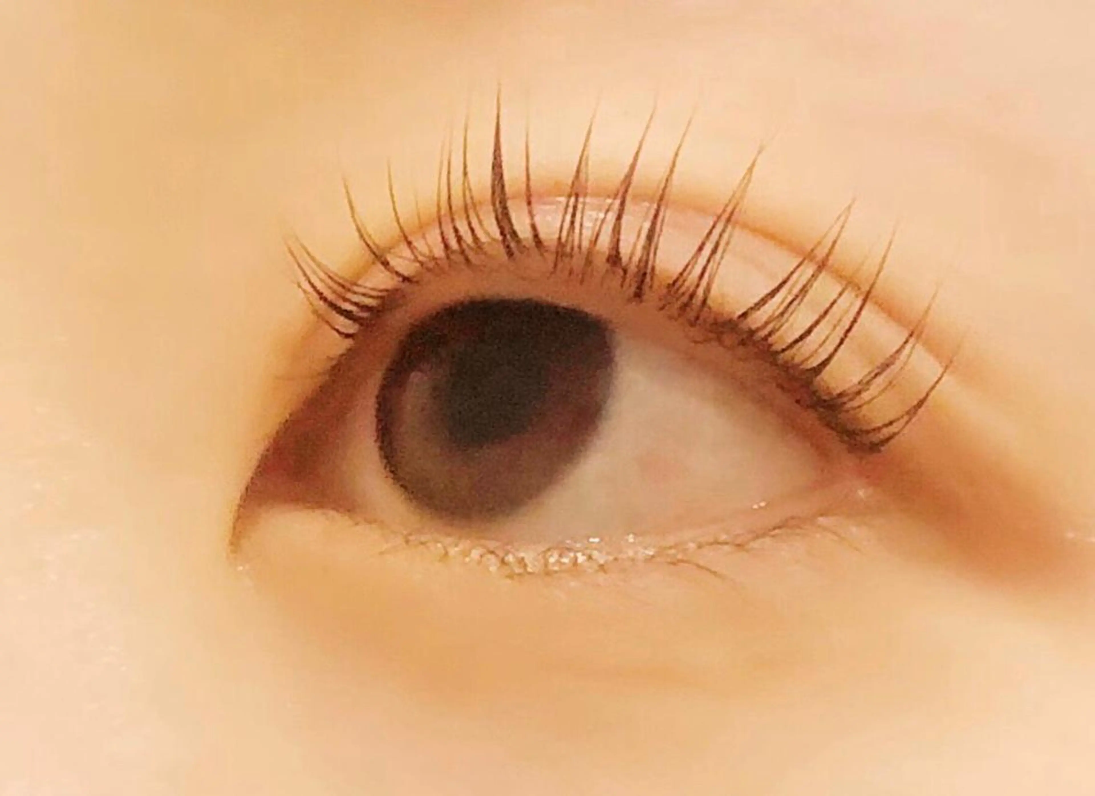 マツエク・マツパ サクラブロウ 四条烏丸店のマツエク・マツパデザイン