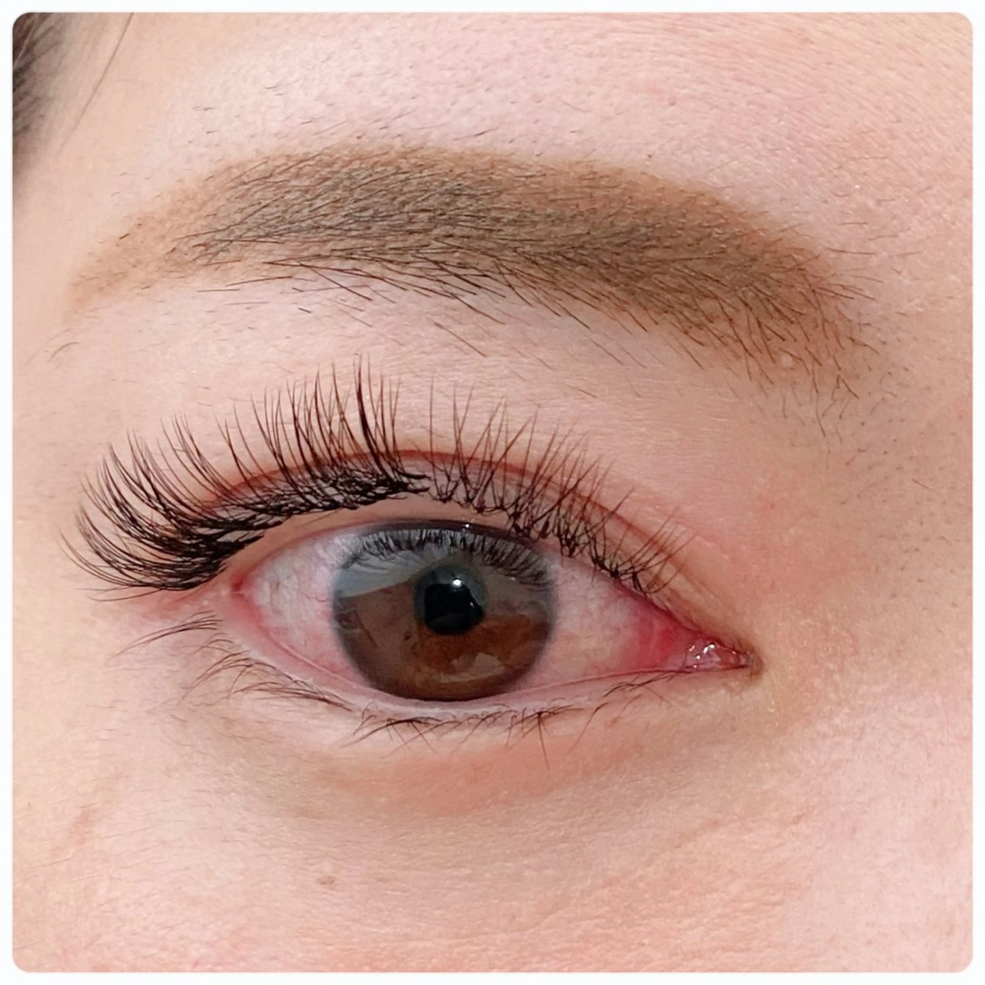 マツエク・マツパ 🫧SATOMI 草加駅5分メンズ眉毛の眉毛・アイブロウイメージ