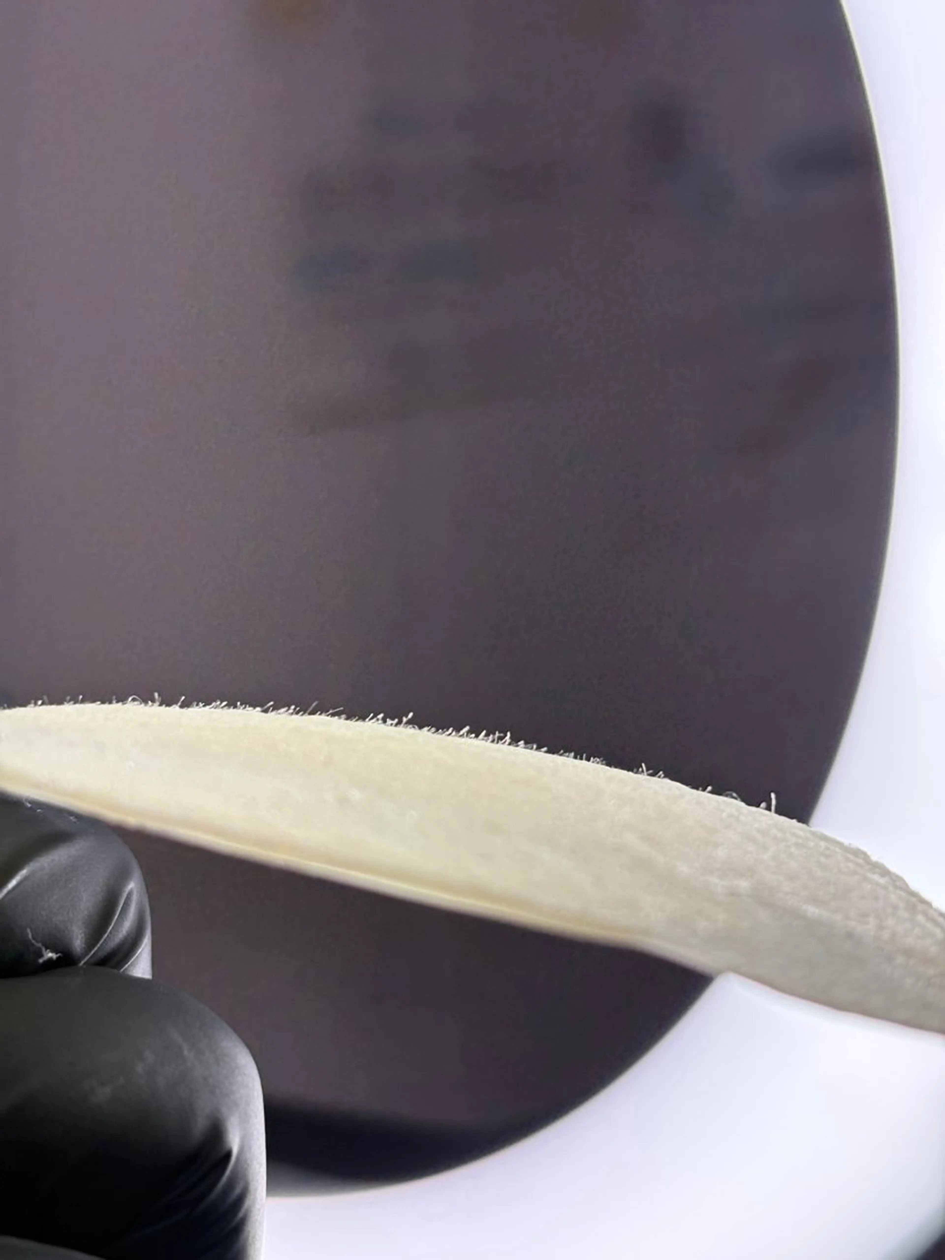 脱毛 砂原 慧子のエステ・リラクイメージ